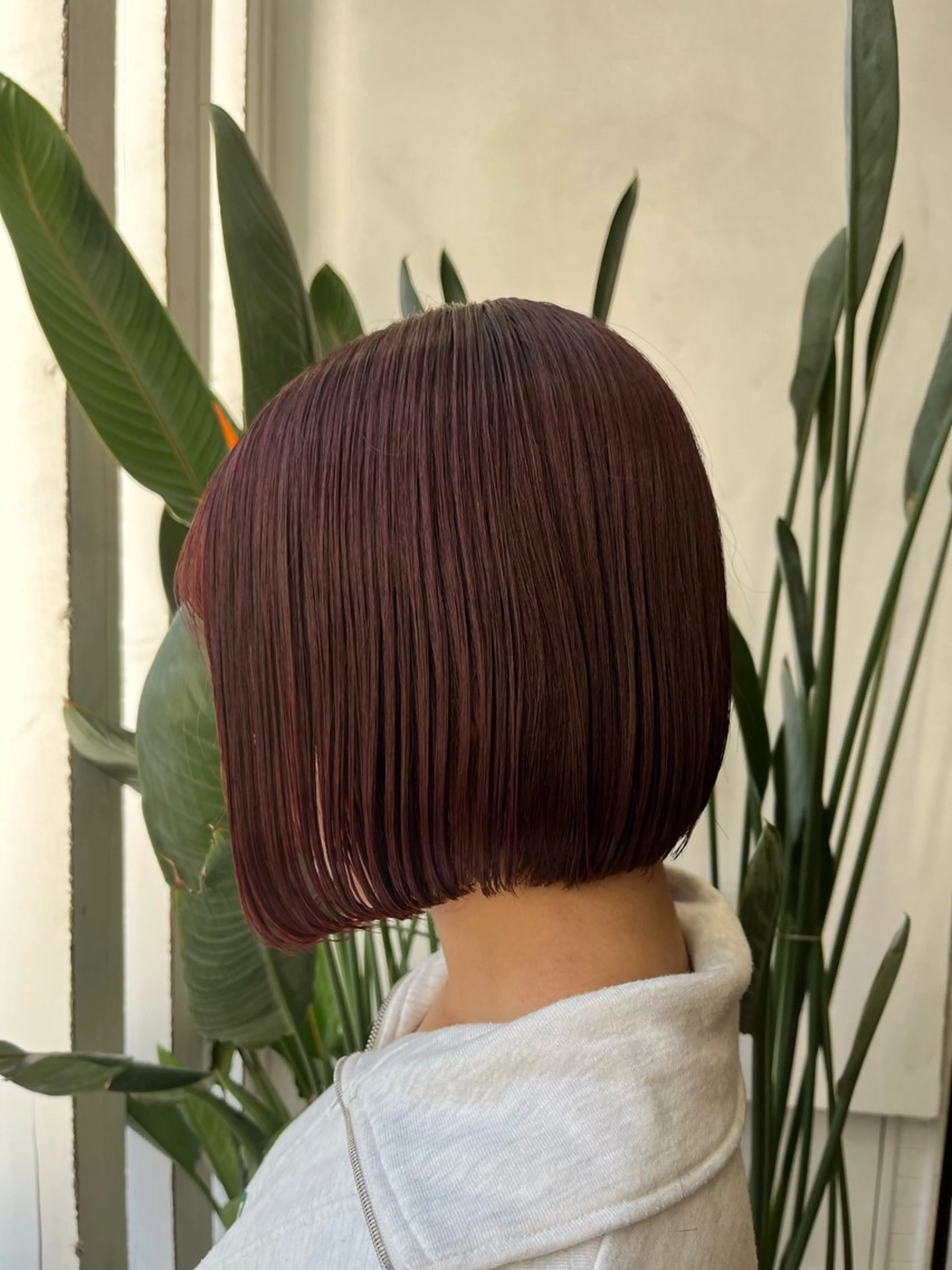 ショート カラー インナーカラー 🫧艶髪デザイナー 🫧白石航汰のヘアスタイル