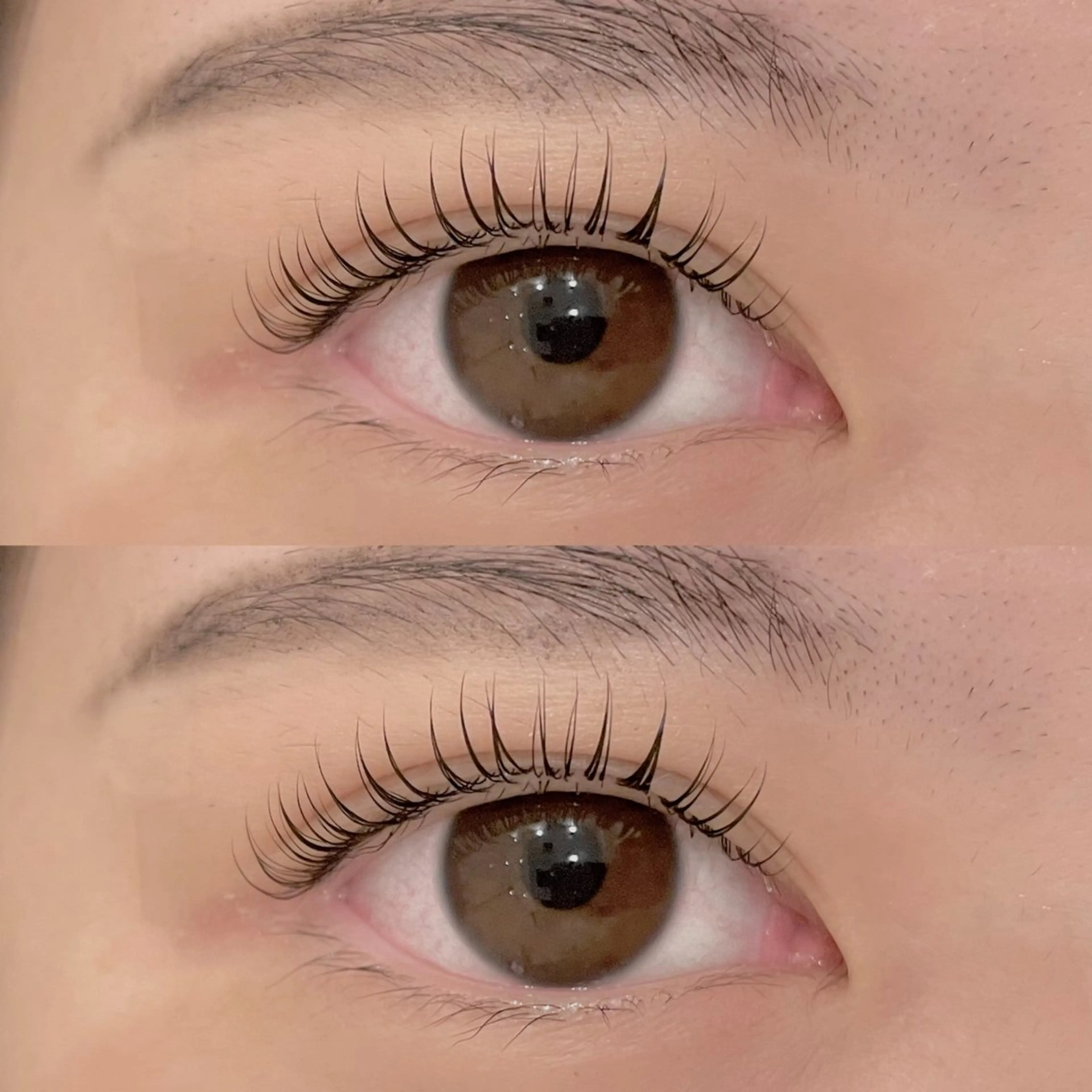 【ご新規様限定】マツエクオフなしのみ🙌🏻パーマモデル上のみ💚⚠️注意事項必読👀の写真