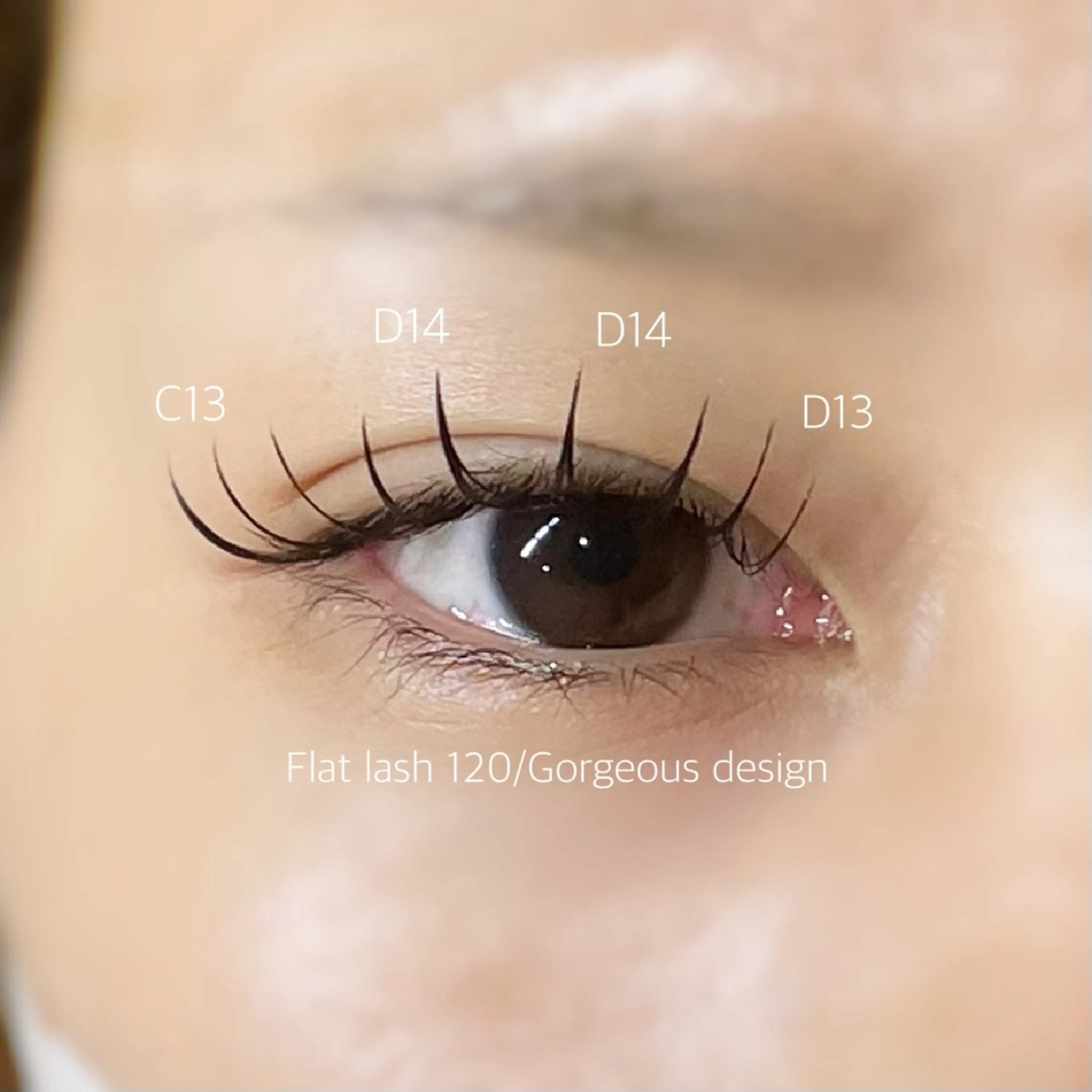 マツエク・マツパ マツエク beauty eye所属・中島 美月のマツエク・マツパデザイン