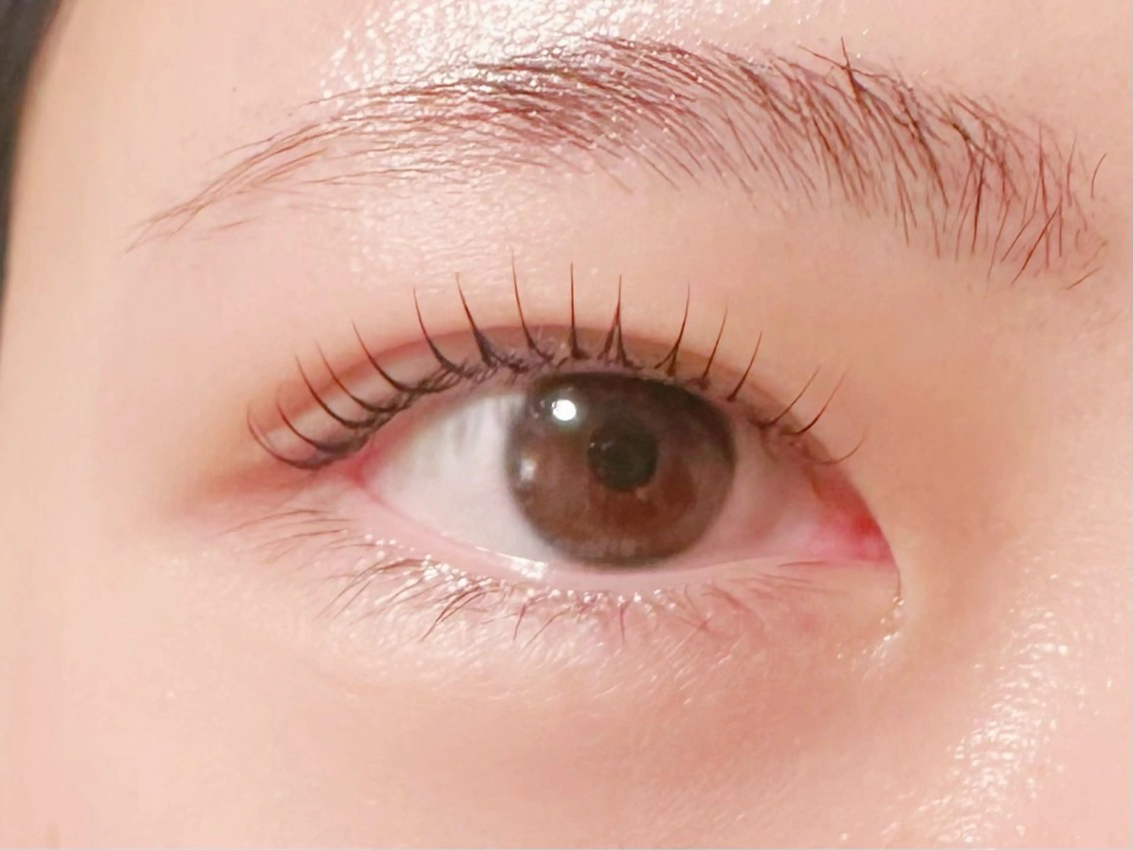 マツエク・マツパ まつげのめぐみ所属・🌹nawa.c 🦋のマツエク・マツパデザイン