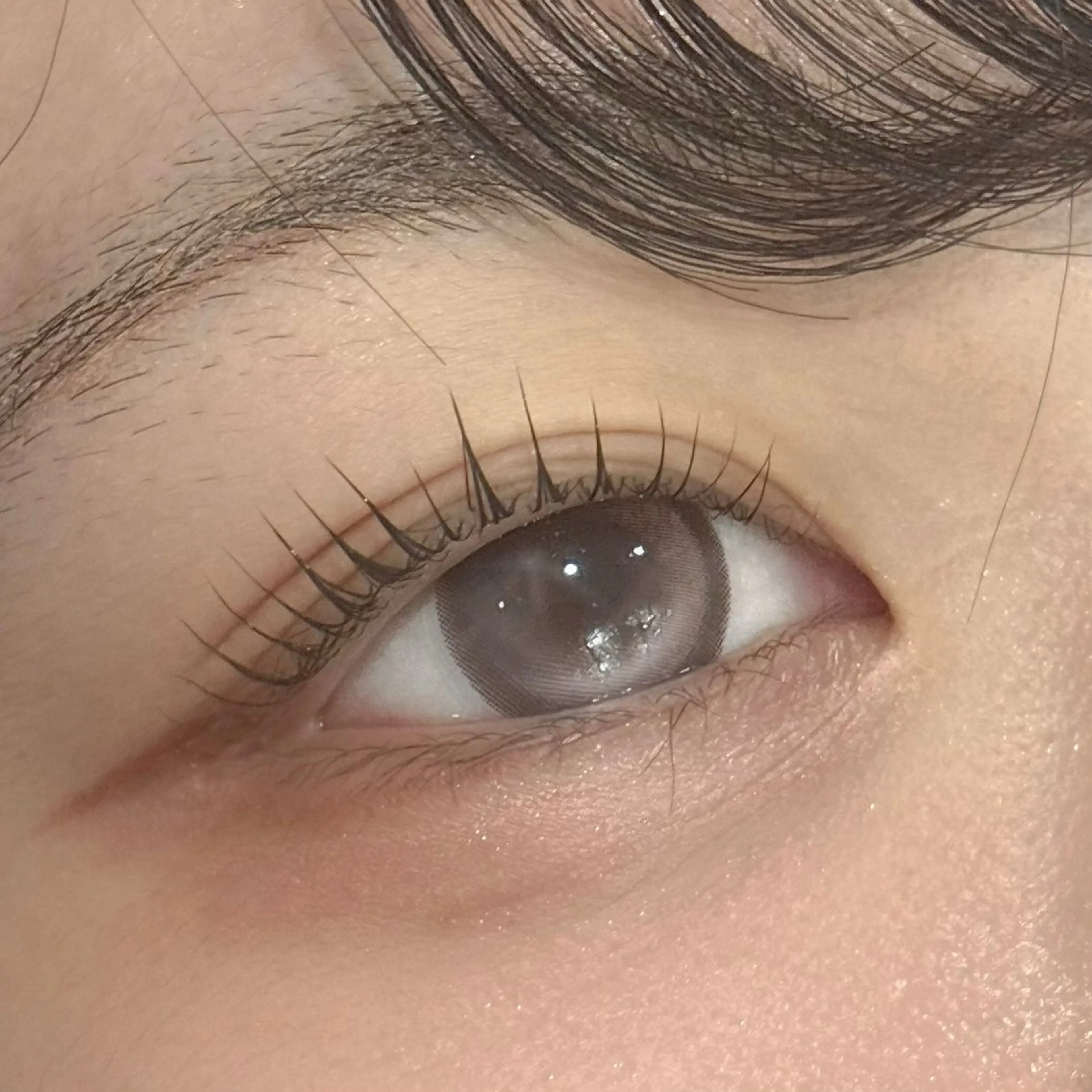 マツエク・マツパ sofa / Akari🏠のマツエク・マツパデザイン