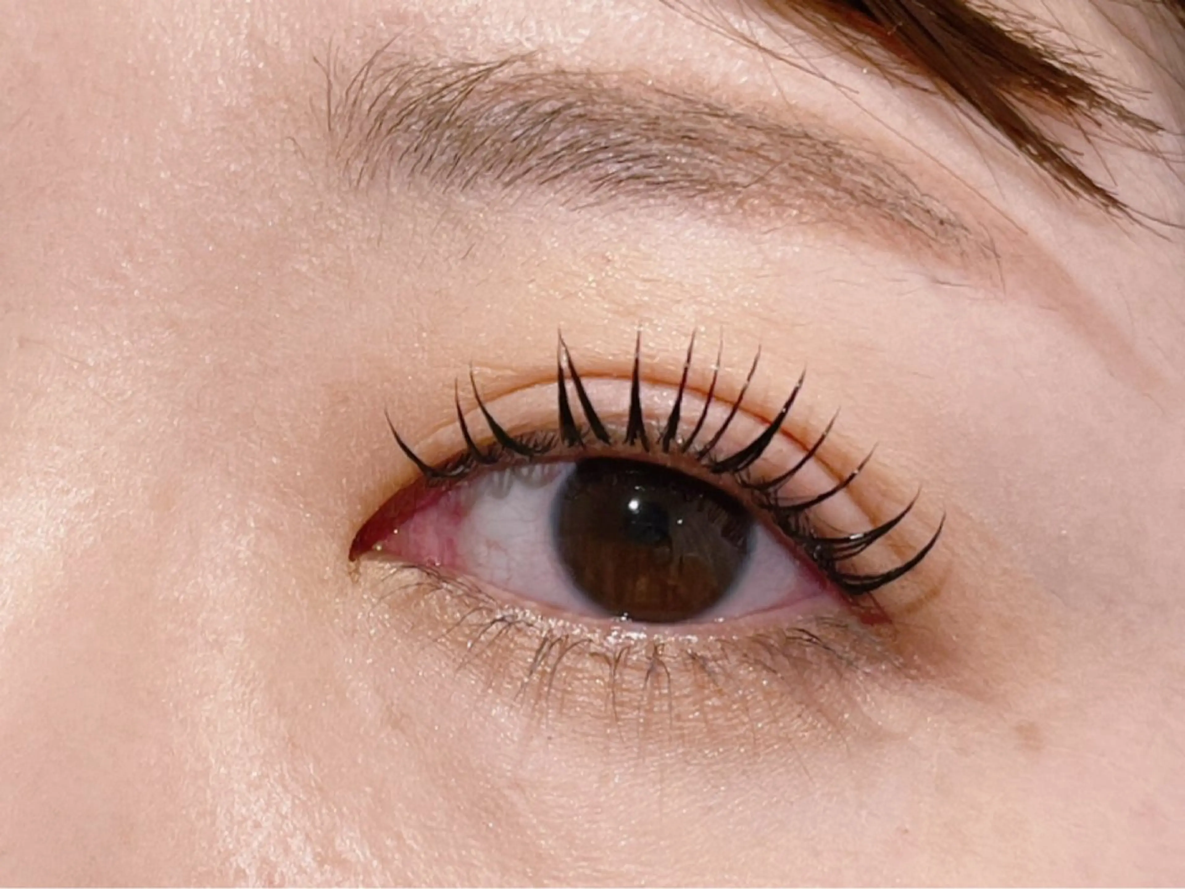 パーマ 𝐞𝐢𝐠𝐡𝐭 MAO🖤の眉毛・アイブロウイメージ