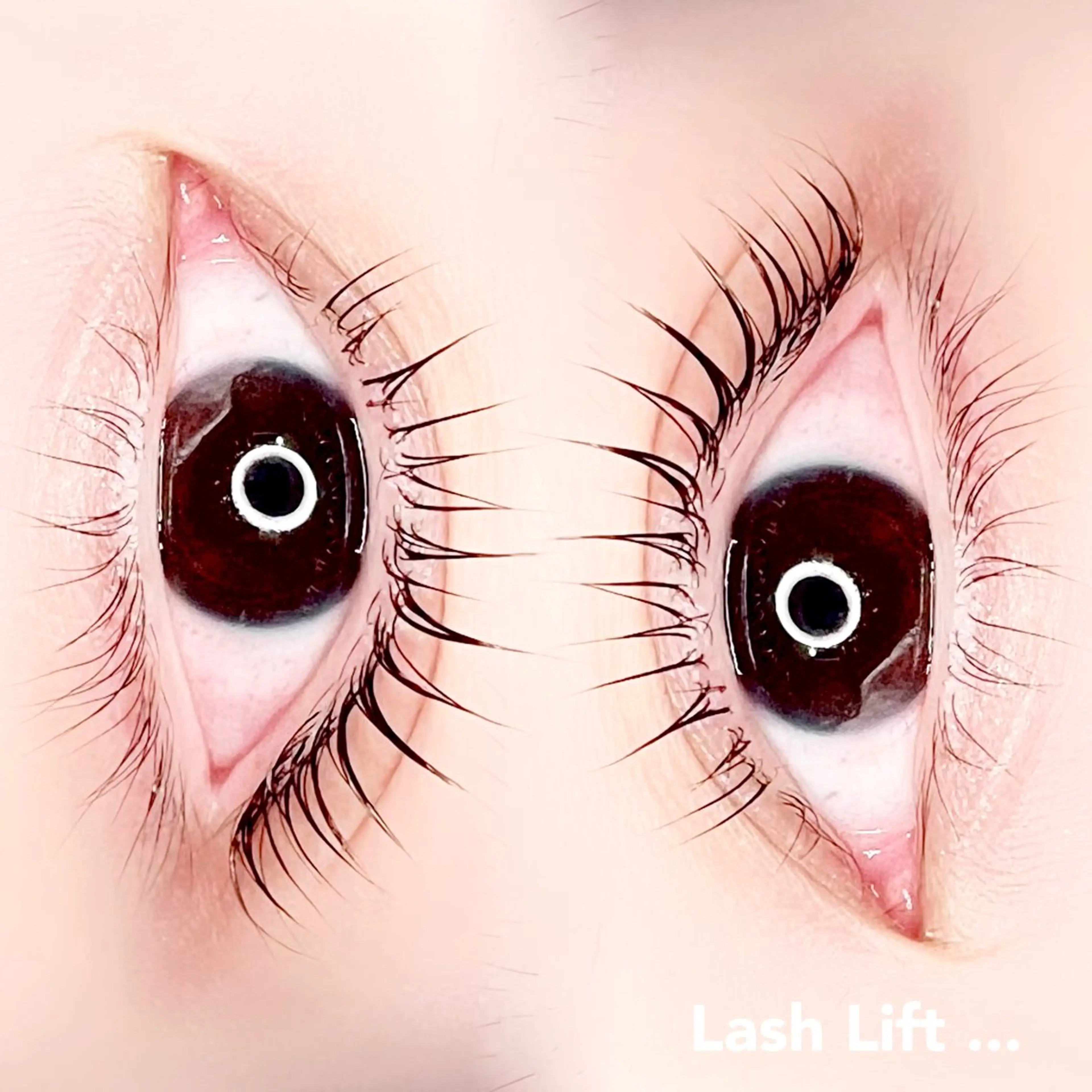 マツエク・マツパ Madonna Lilyのマツエク・マツパデザイン