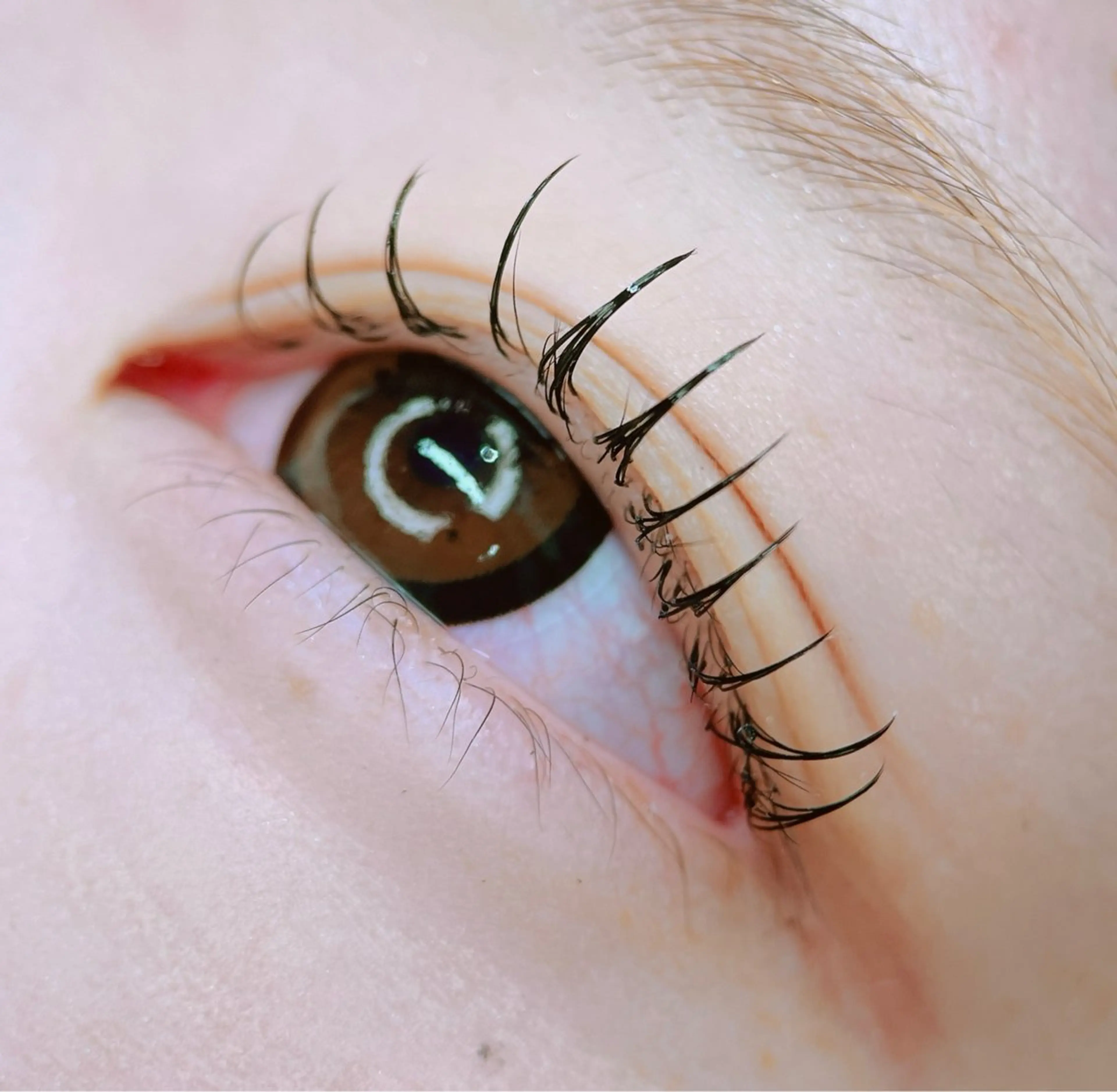 マツエク・マツパ tyto+所属・🎀eye/ shitsuki🎀のマツエク・マツパデザイン