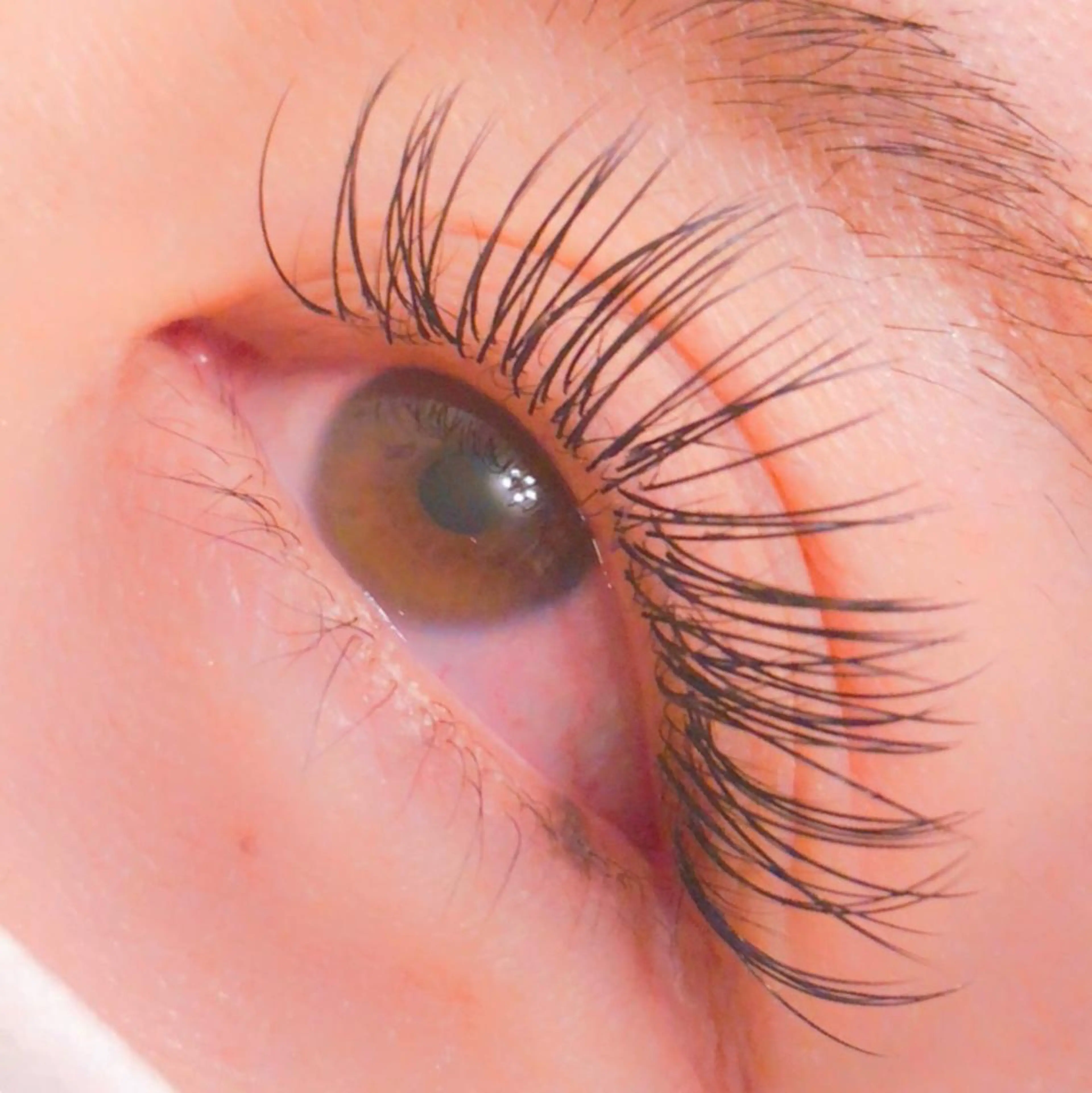 ロング カラー ヘアアレンジ メンズ キッズ ネイル マツエク・マツパ 地域 No. 1店 nail&eyelash Liliana所属・ベテランのお店です 🍓.Lilianaのマツエク・マツパデザイン