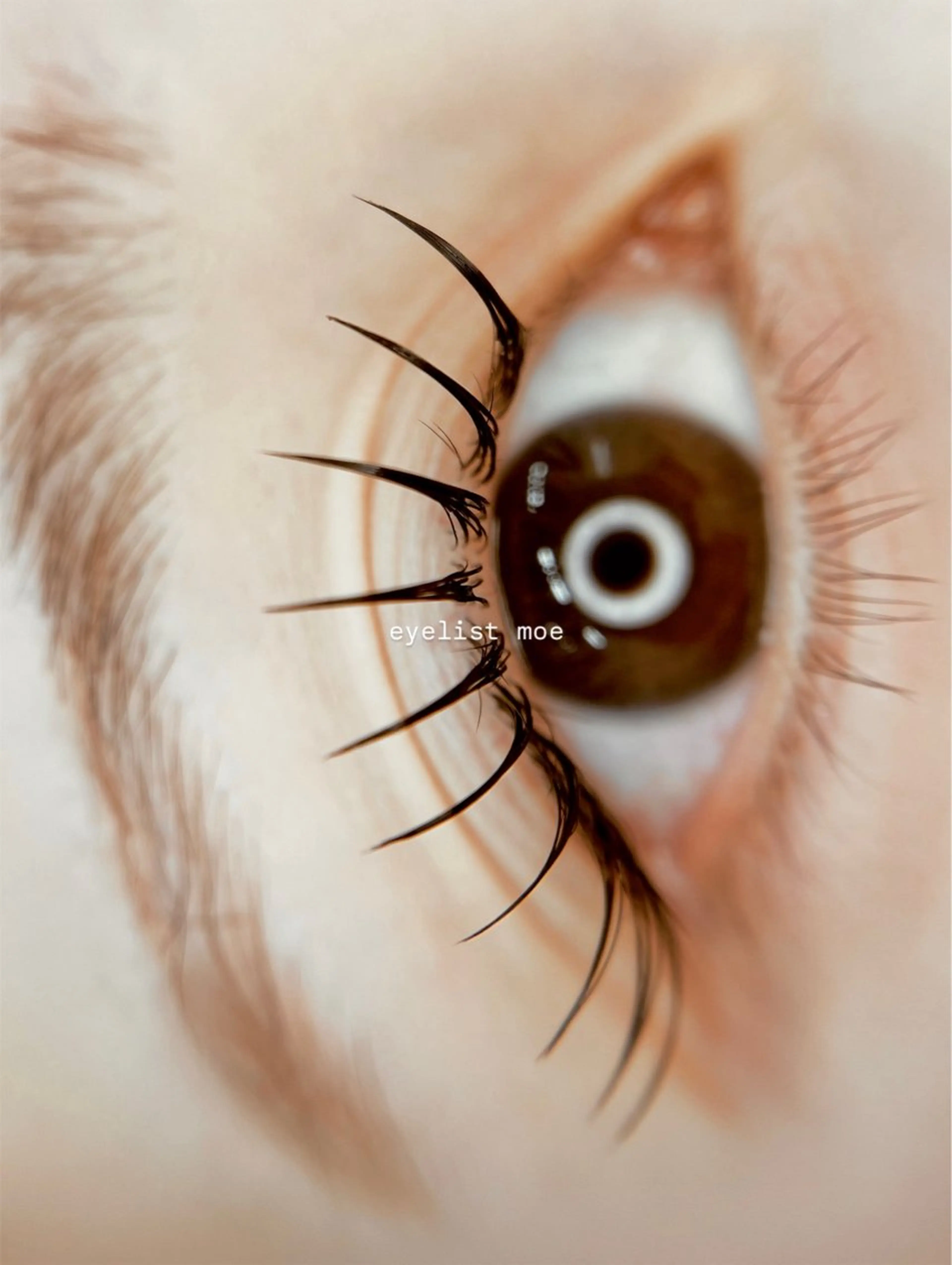 ▫️【 新規限定 】フラットマットラッシュ100 - 140本（オフ込／コーティング付）✨デザインeye🌙🌿‬の写真