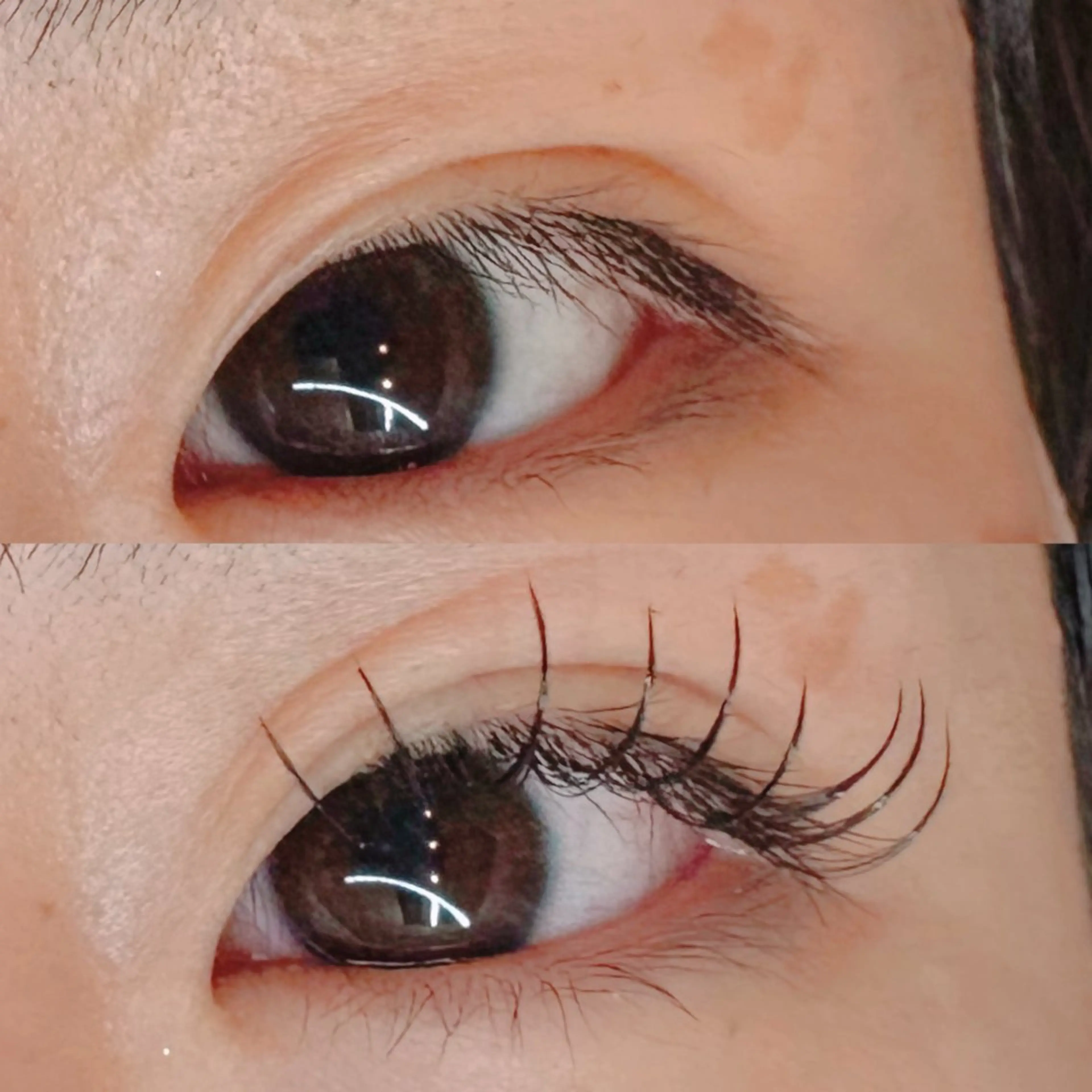 マツエク・マツパ Dカール マツエク 【愛され眉毛作る人】 nozomiのマツエク・マツパデザイン