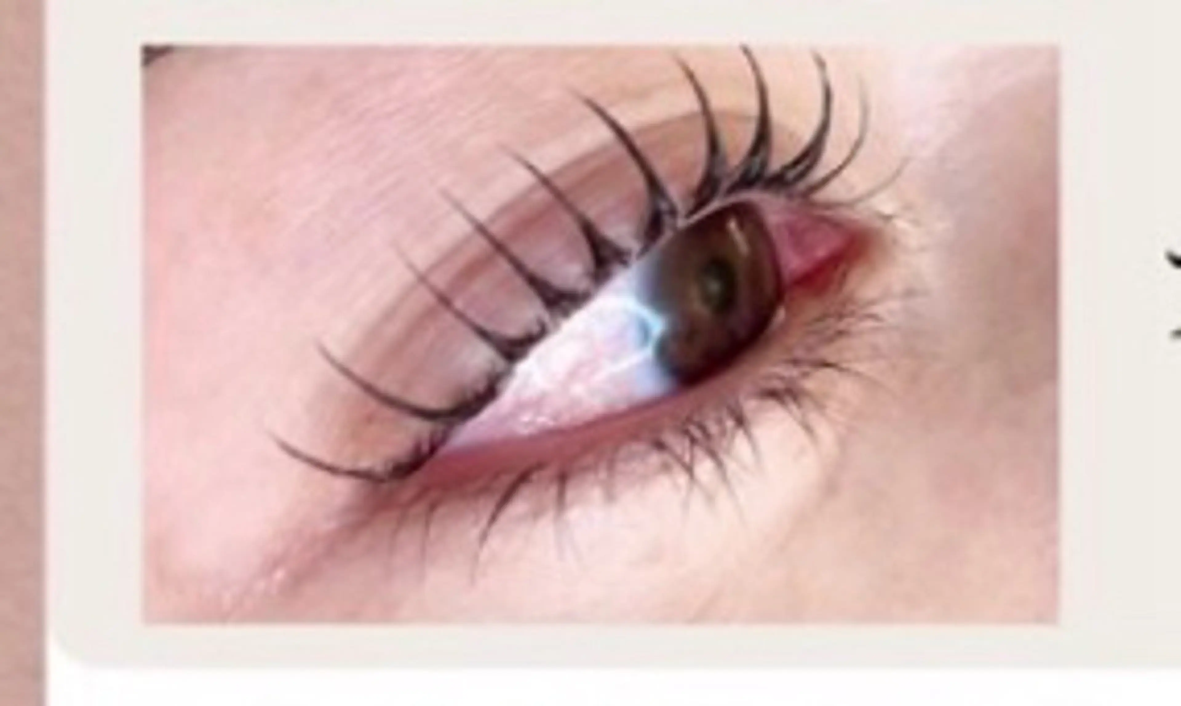 【まつ毛パーマ🧚立ち上げ✖️弱カール】フェアリーテール¥3480の写真