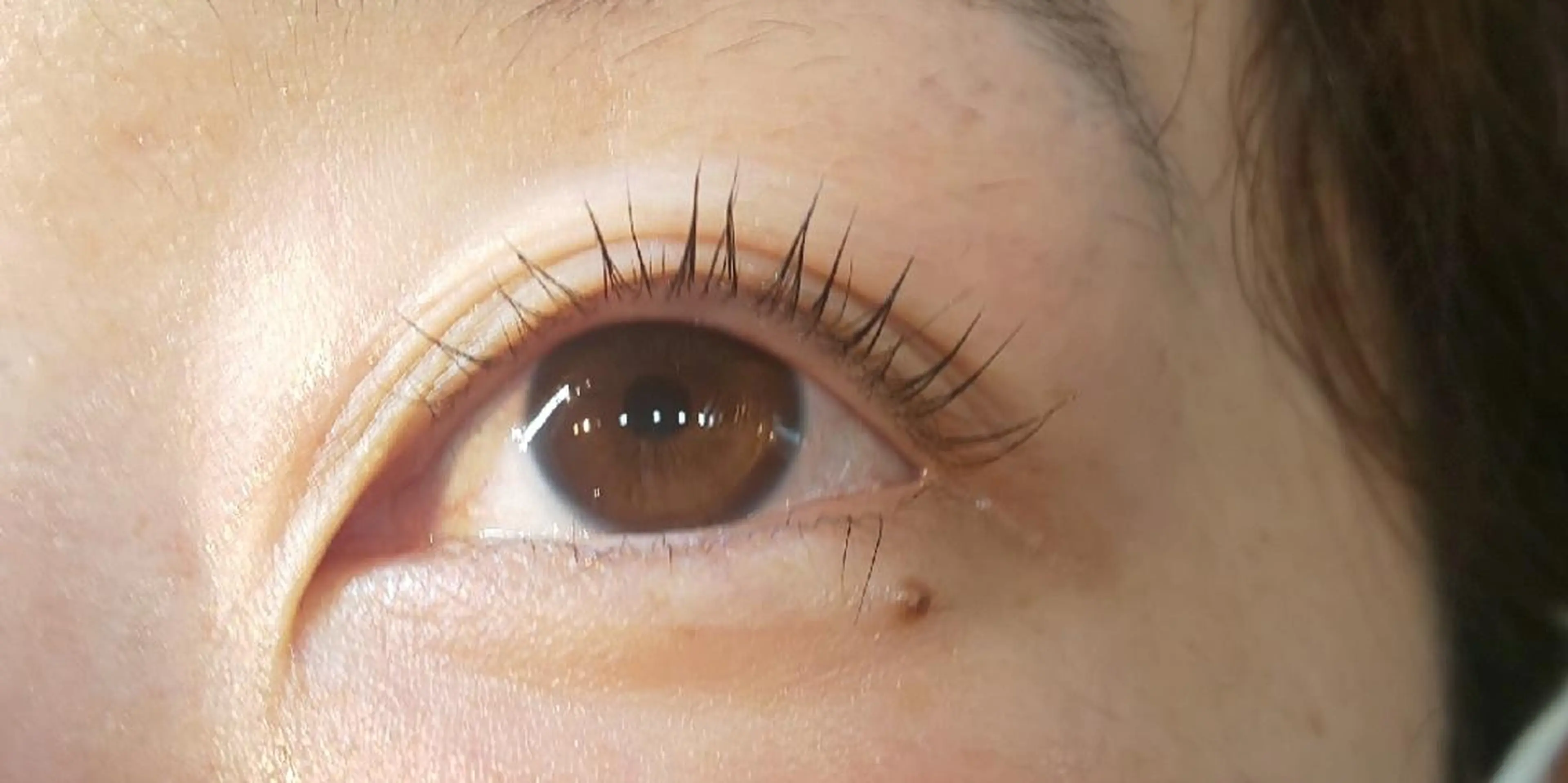 マツエク・マツパ パリジェンヌラッシュリフト Ｖerba松戸店所属・verba バーバの眉毛・アイブロウイメージ