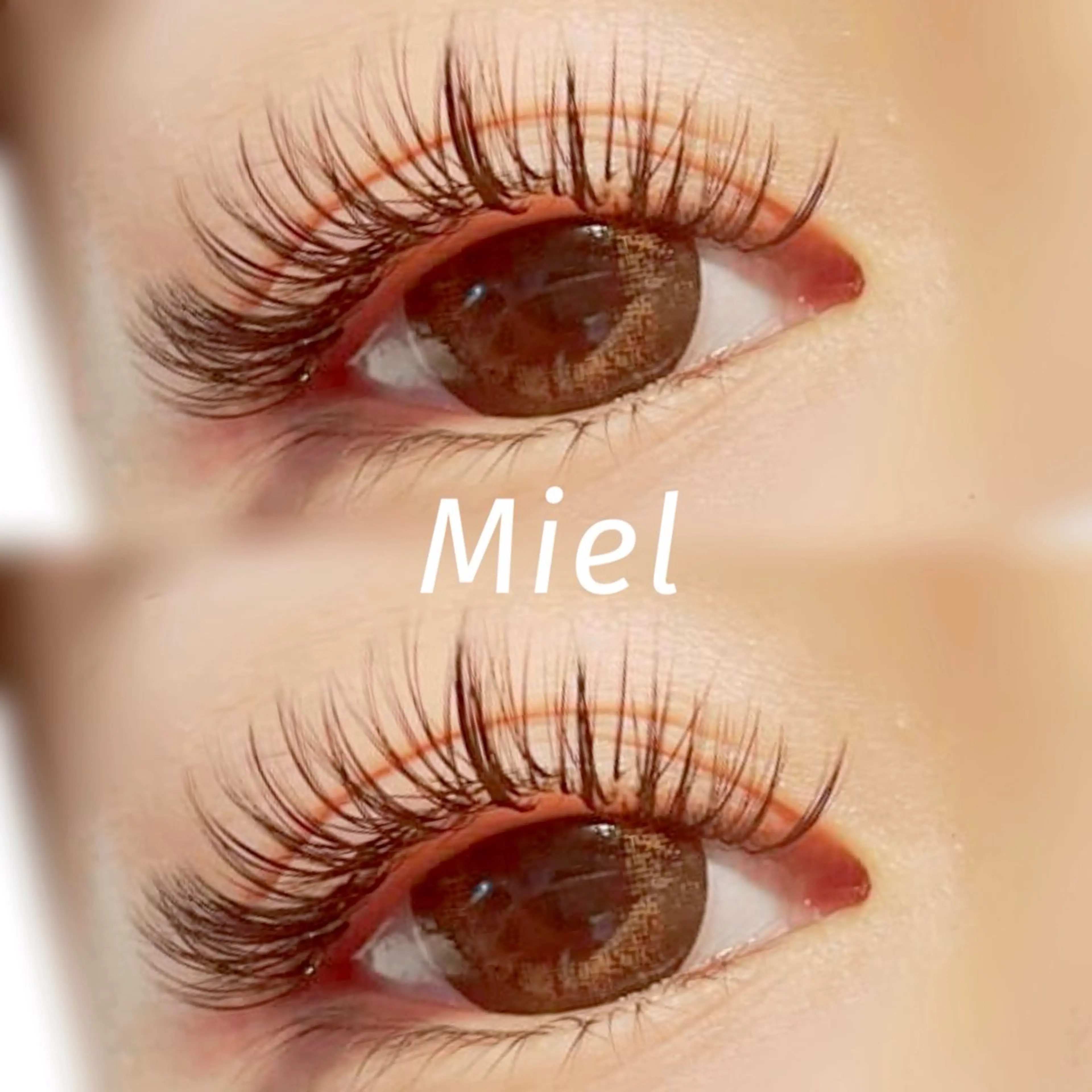 驚異の持続力☆メガフラットラッシュ【60束5980円】【80束6980円】の写真