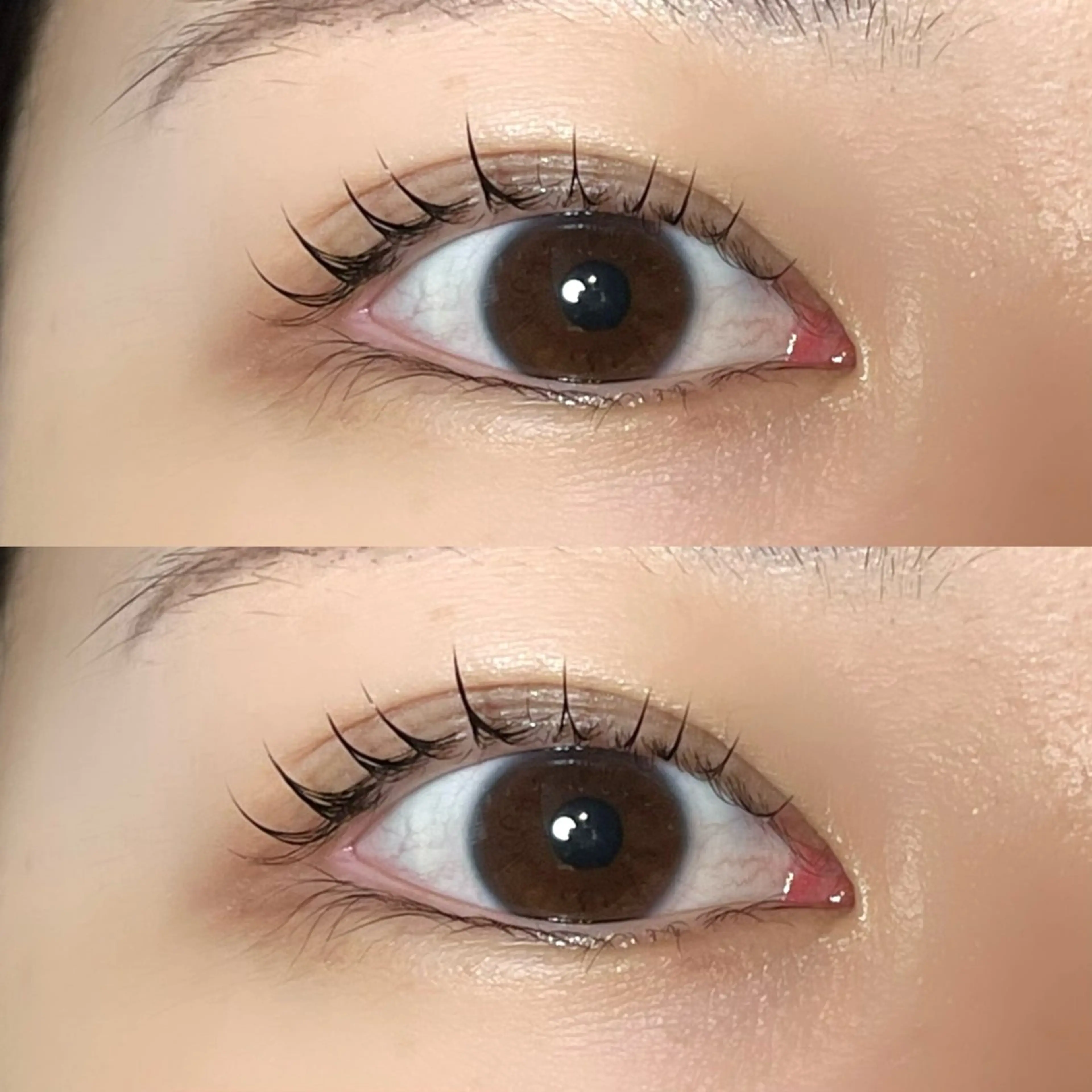 【💎新規💎】まつげパーマの写真