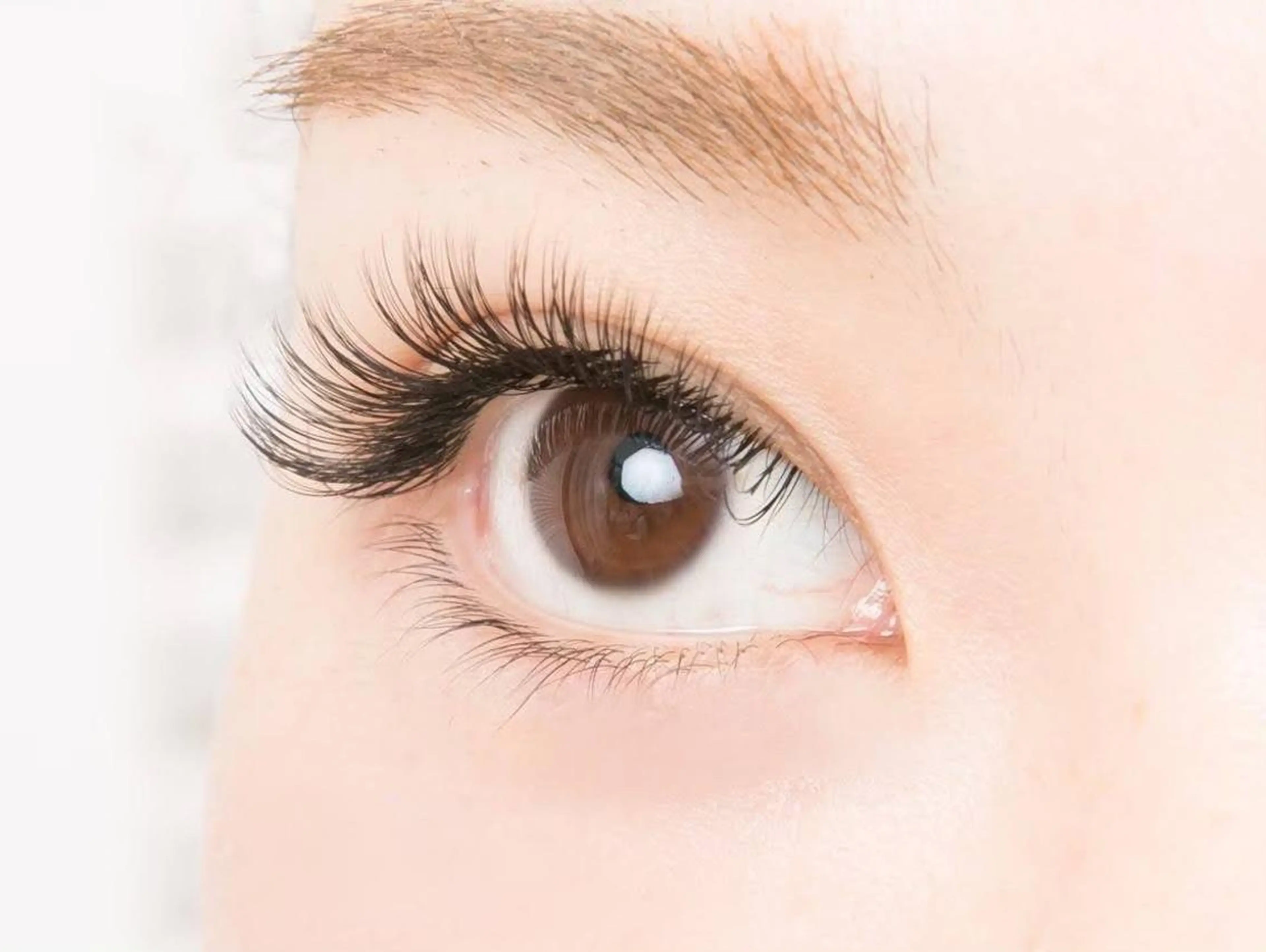 マツエク・マツパ Anera亀有店所属・Anela亀有 フナクラのマツエク・マツパデザイン