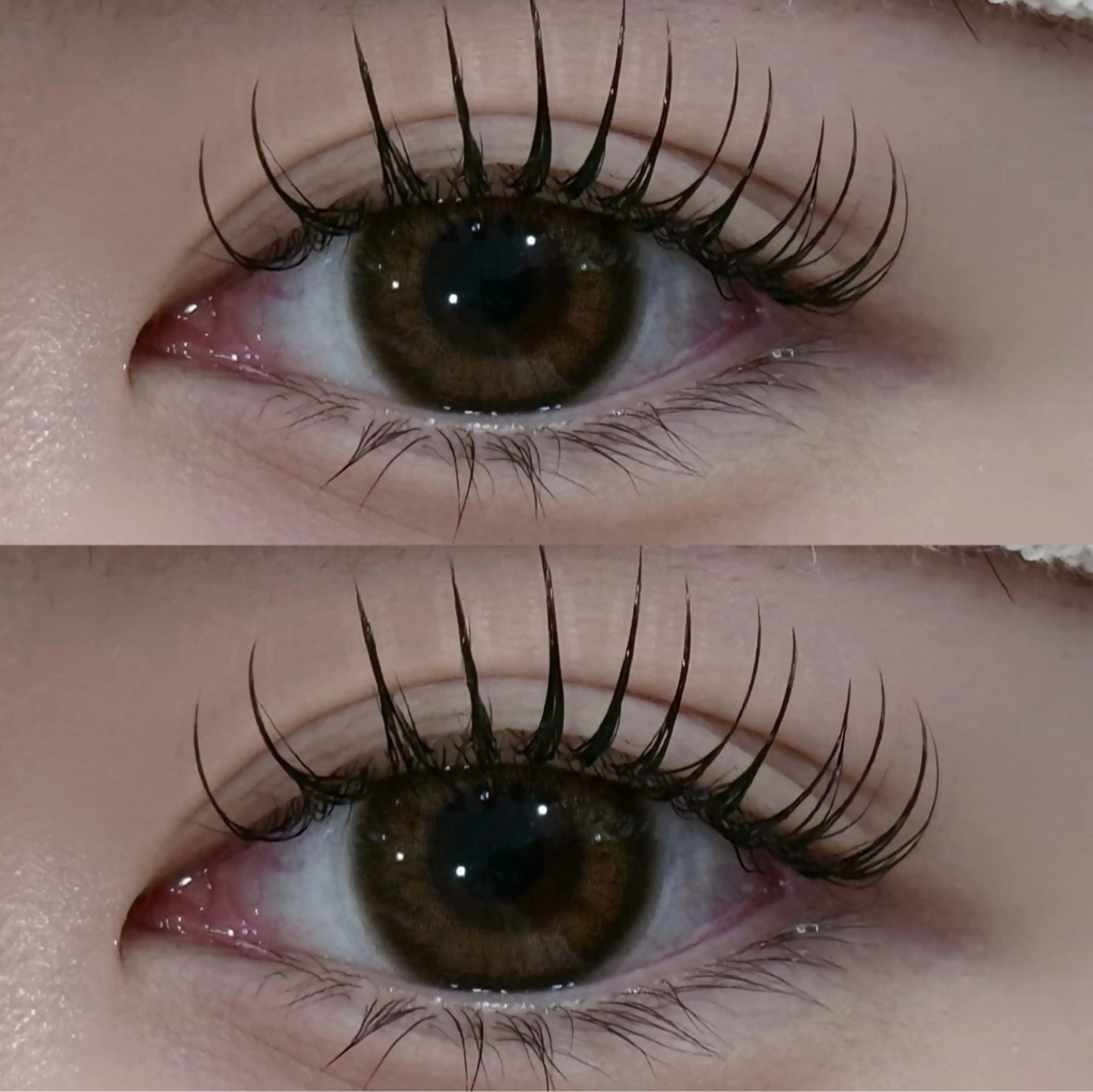 マツエク・マツパ Mon mignon ෆ‪momokaのマツエク・マツパデザイン