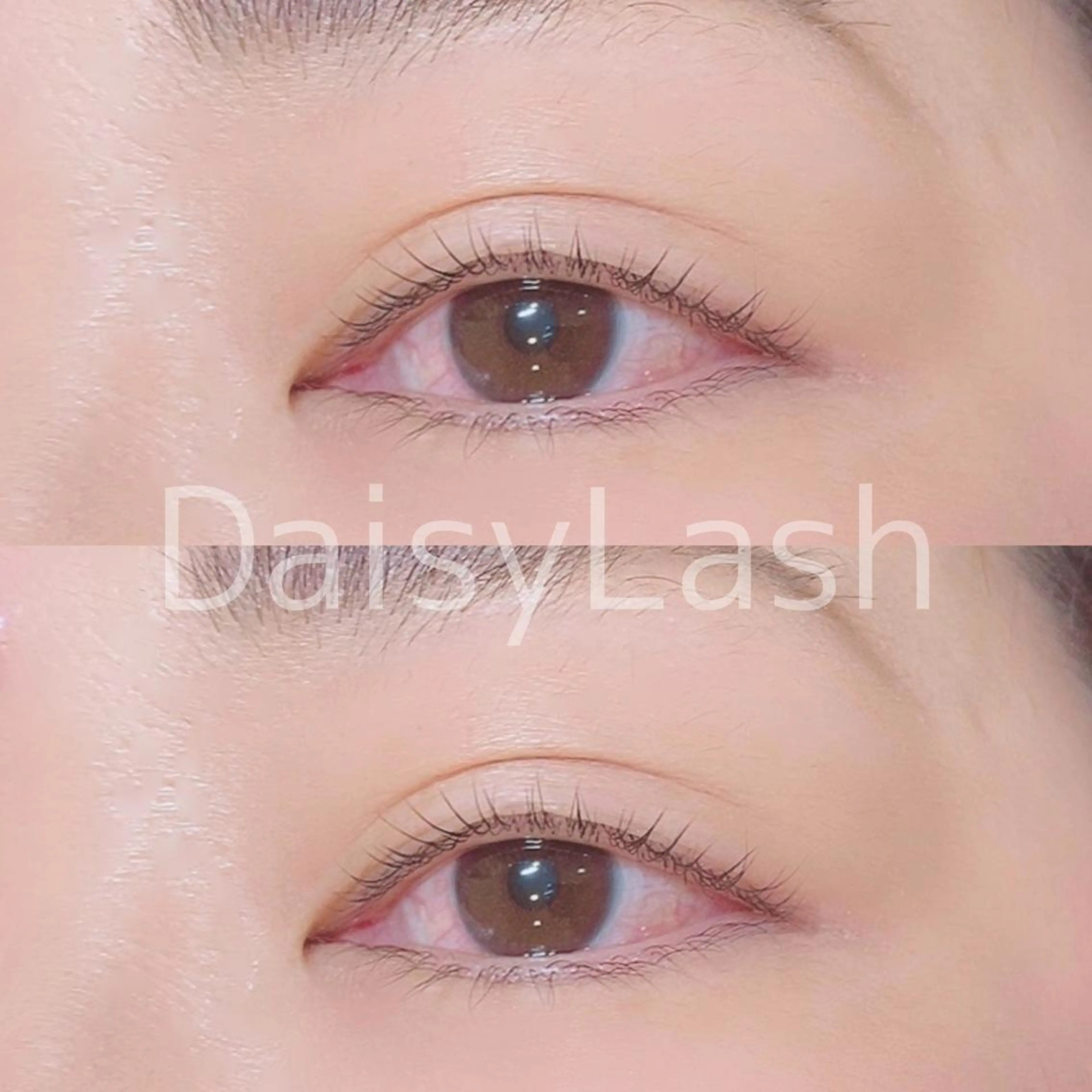 マツエク・マツパ DaisyLash 京橋店のマツエク・マツパデザイン