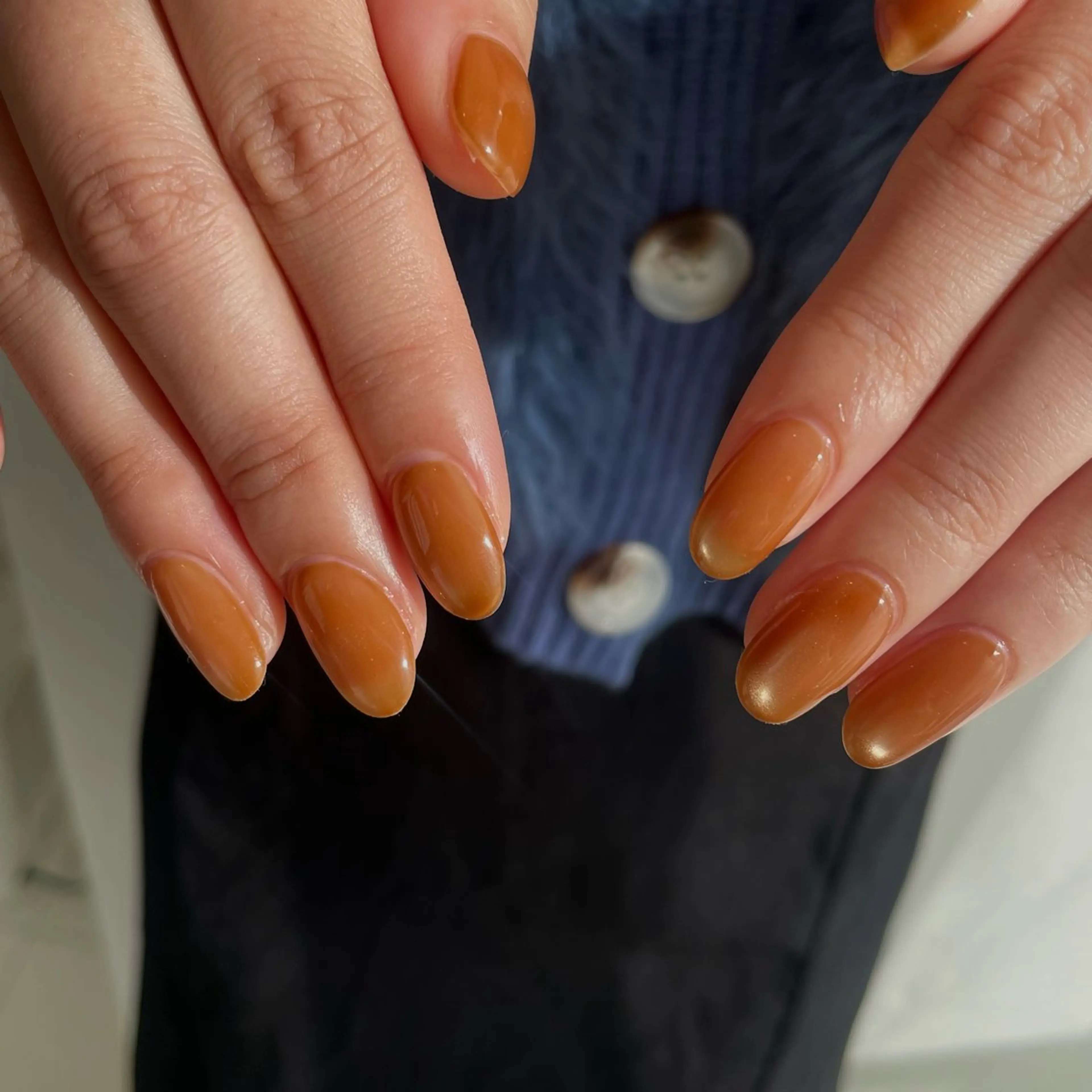 ネイル フラッシュネイル マグネットネイル ミラーネイル petit所属・Saaya🫧 _petitのネイルデザイン