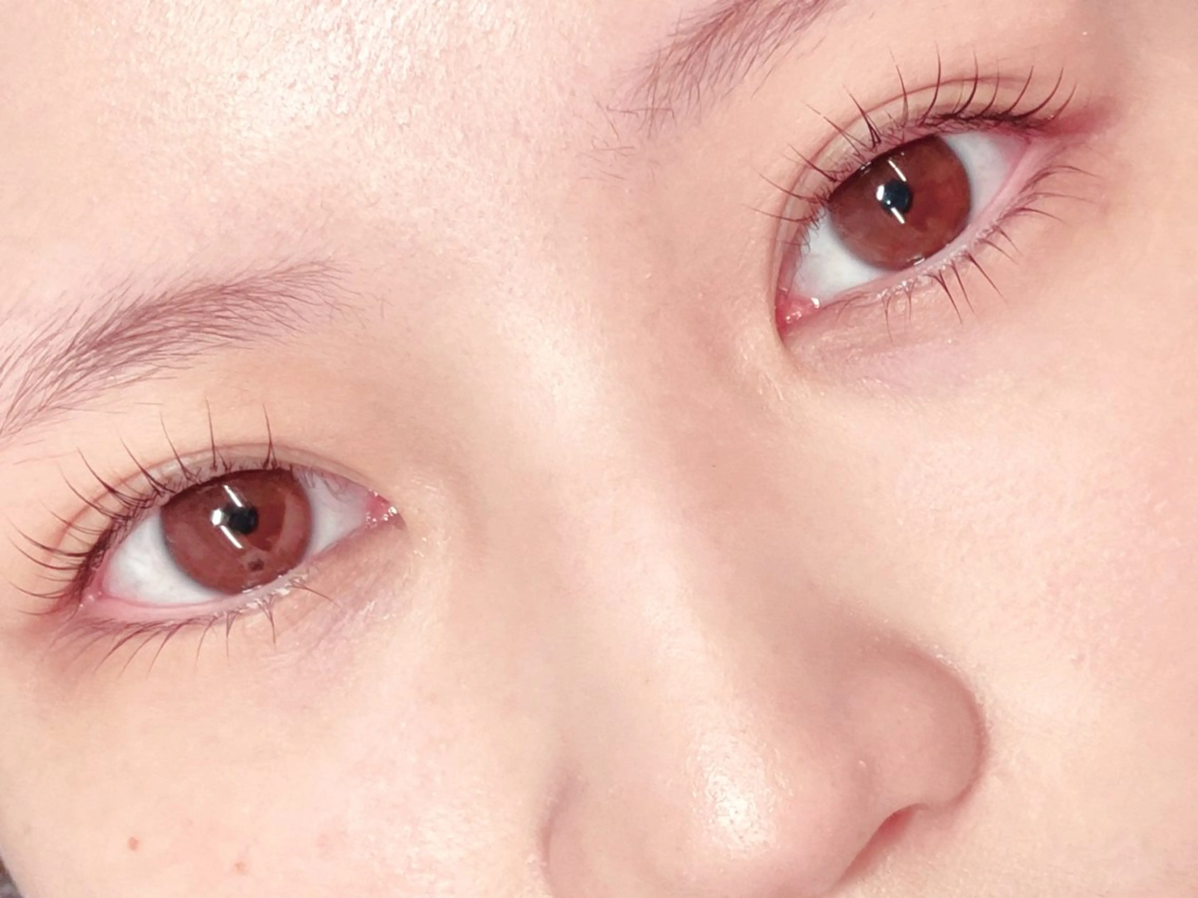 マツエク・マツパ まつげと眉毛のお店Sakura Lash【サクララッシュ】所属・【ダメージケア特化】 🌸 サクララッシュの眉毛・アイブロウイメージ