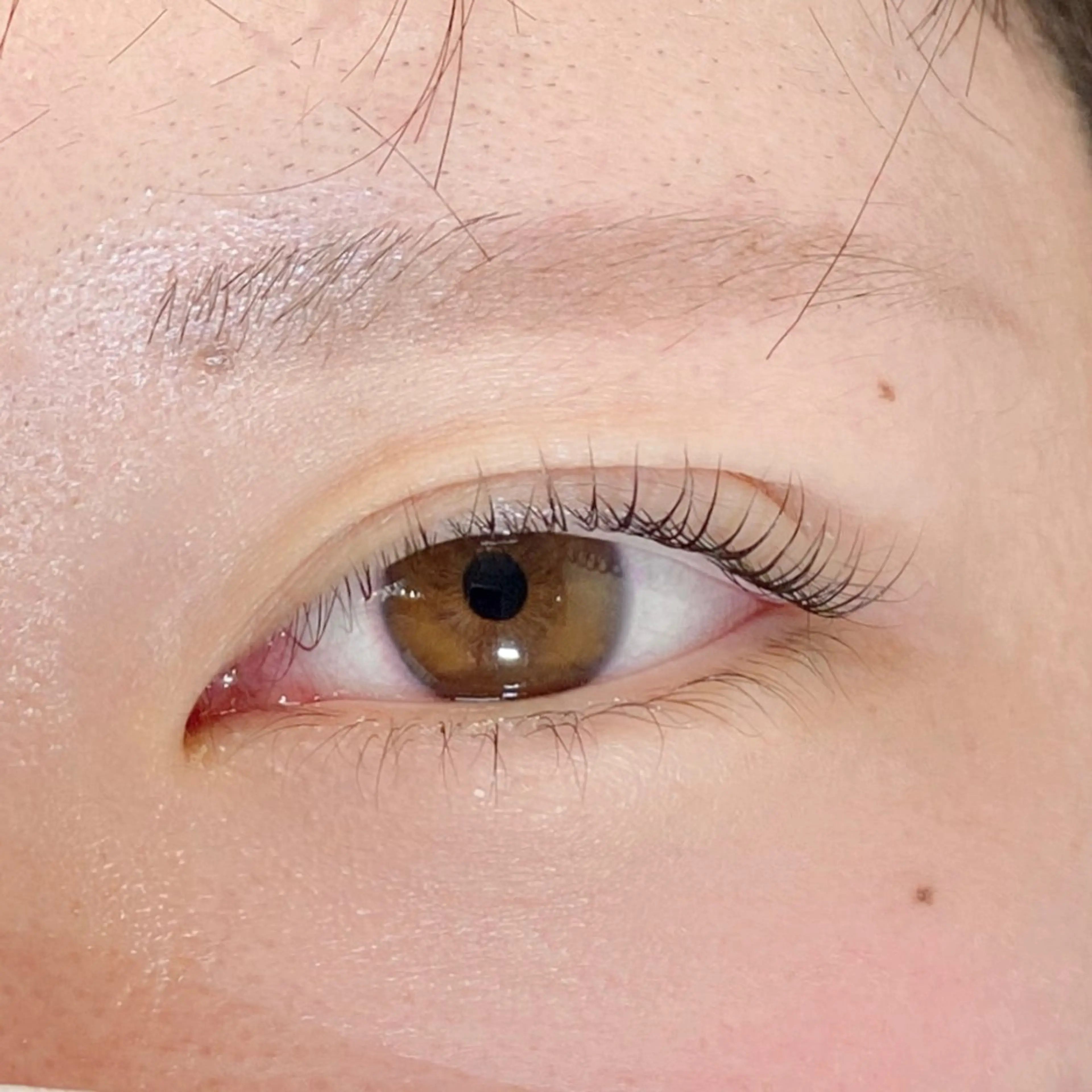 次世代まつげパーマ+コーティング仕上げ🩵✨の写真