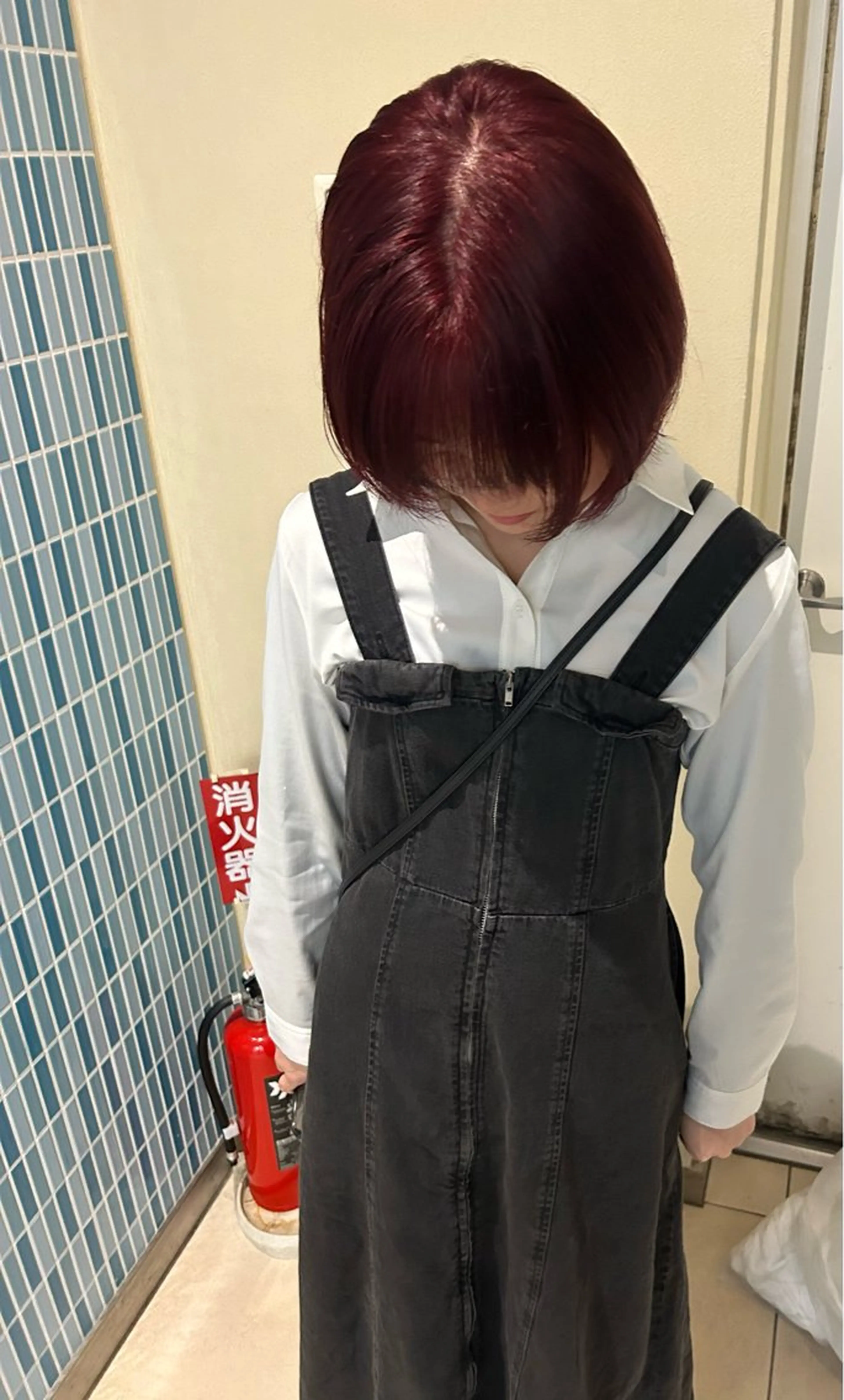 カラー ヘアカラー [lani ] konatsuのヘアスタイル