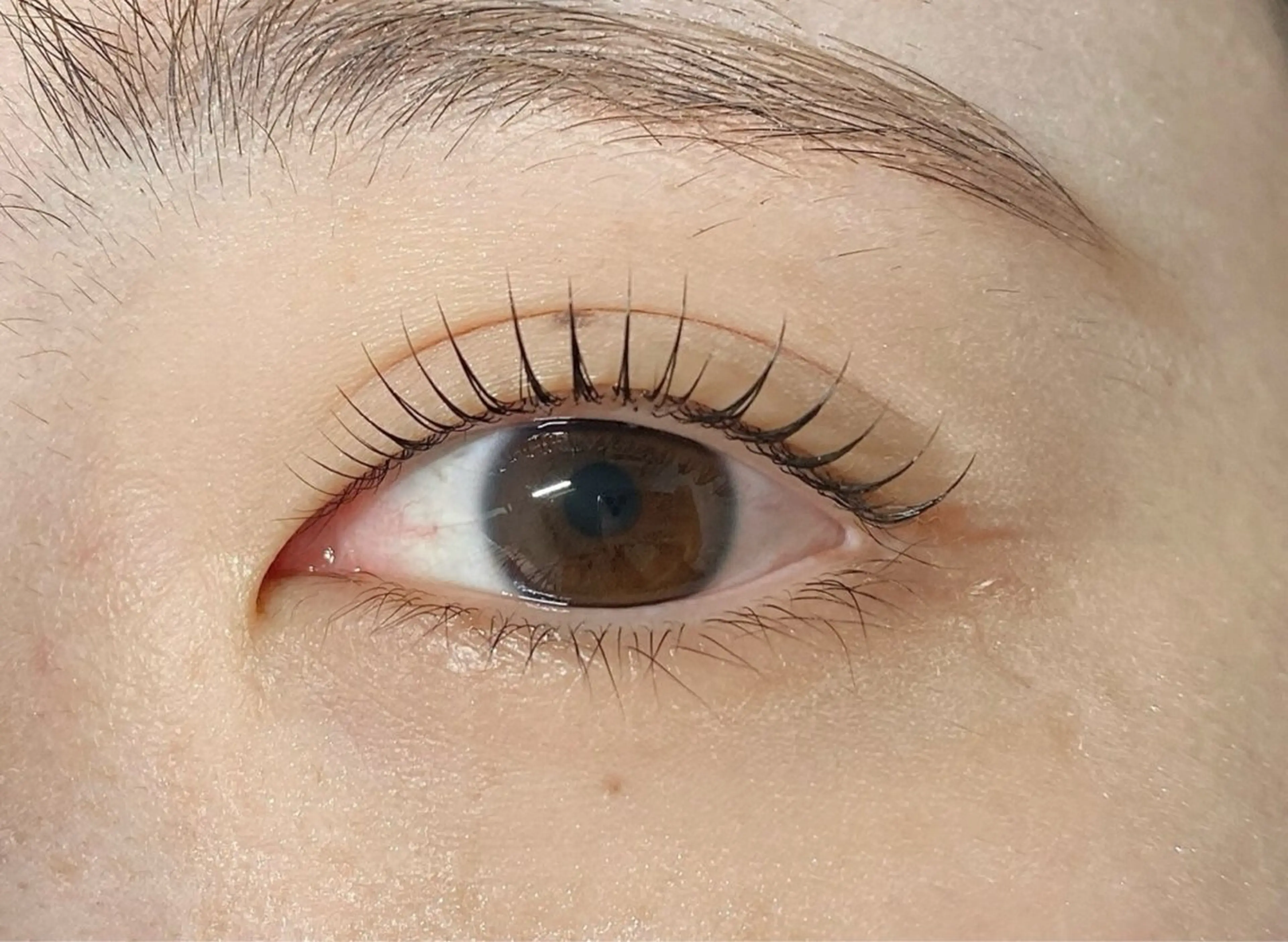 最短6/4 9時30分​〜​✨期間限定モデル✨【最先端まつ毛パーマ＋クリアコーティング剤付き】　¥2000の写真