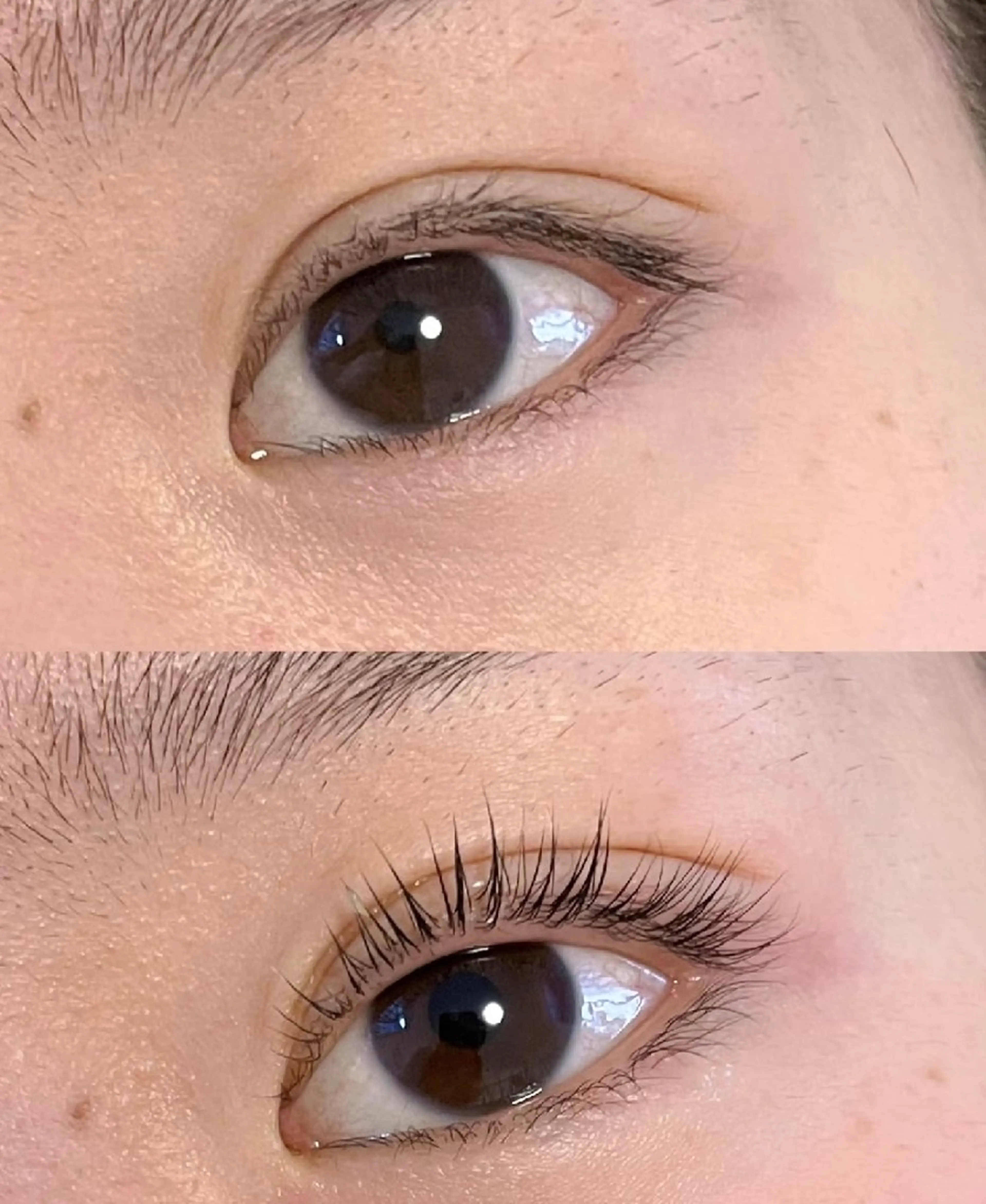 マツエク・マツパ マツパ LB美容サロン　池袋東口店所属・古賀 みゆのマツエク・マツパデザイン