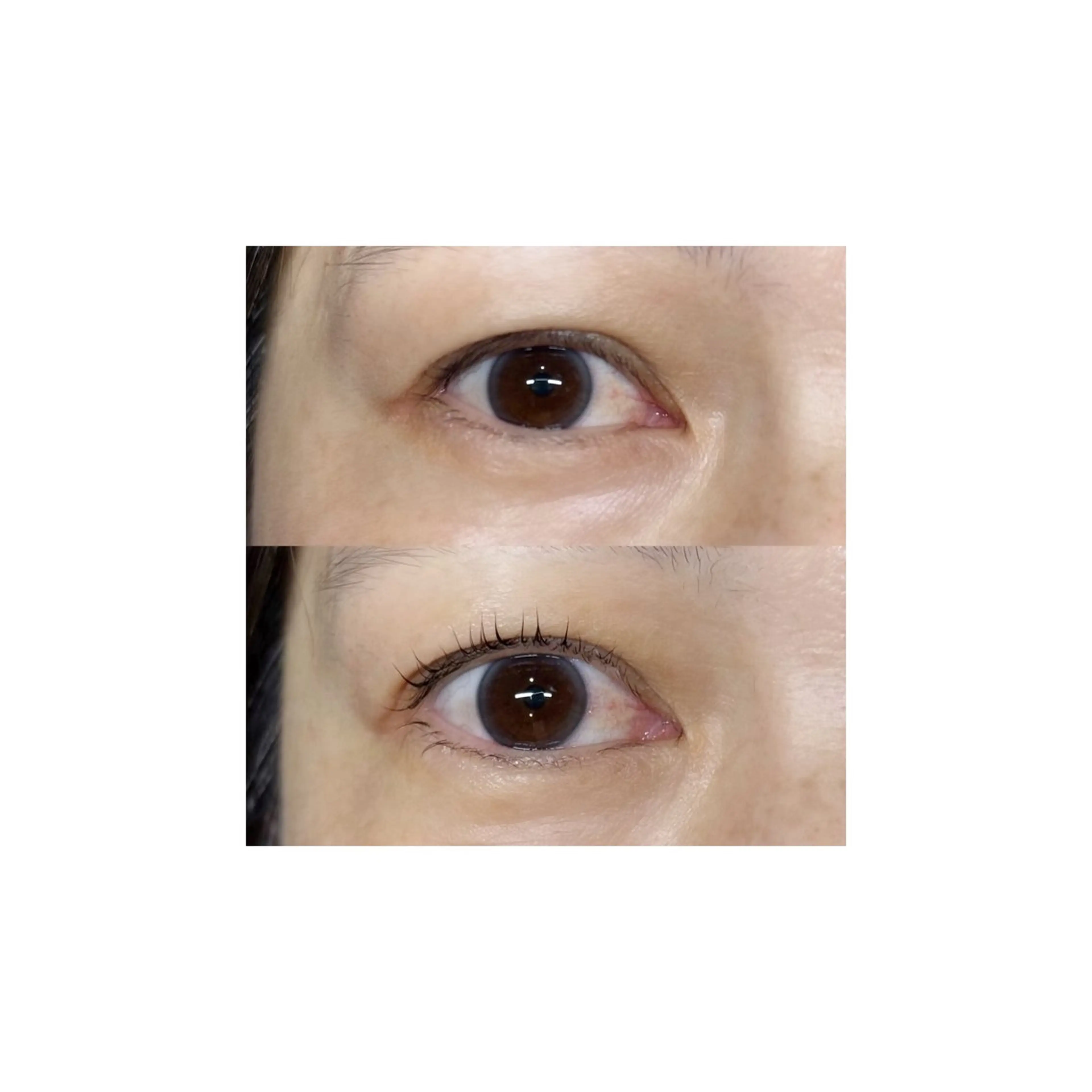 マツエク・マツパ マツパ U too e's MANAE🌼の眉毛・アイブロウイメージ