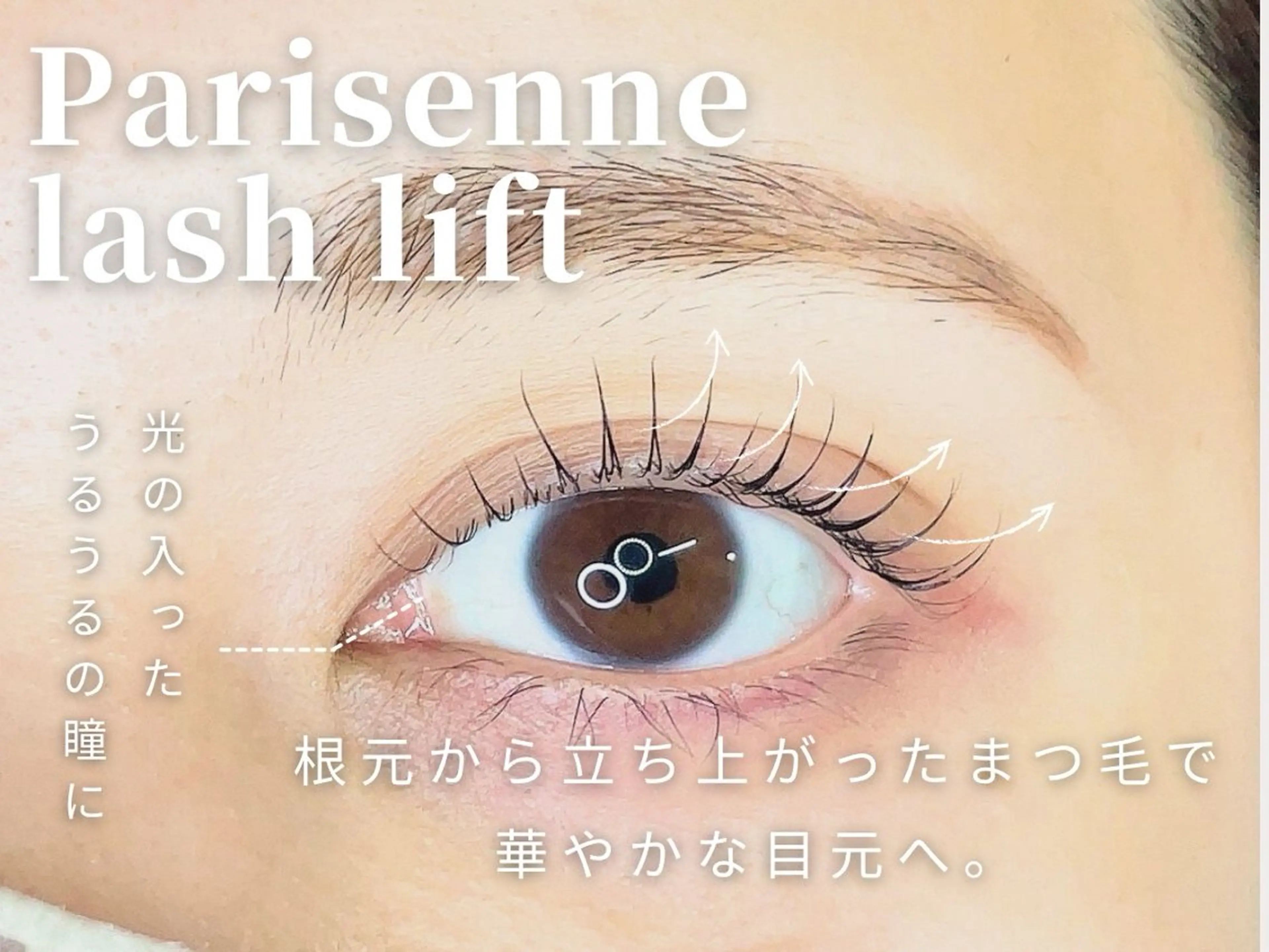 【デビューキャンペーン】ミニモ限定パリジェンヌラッシュリフトの写真