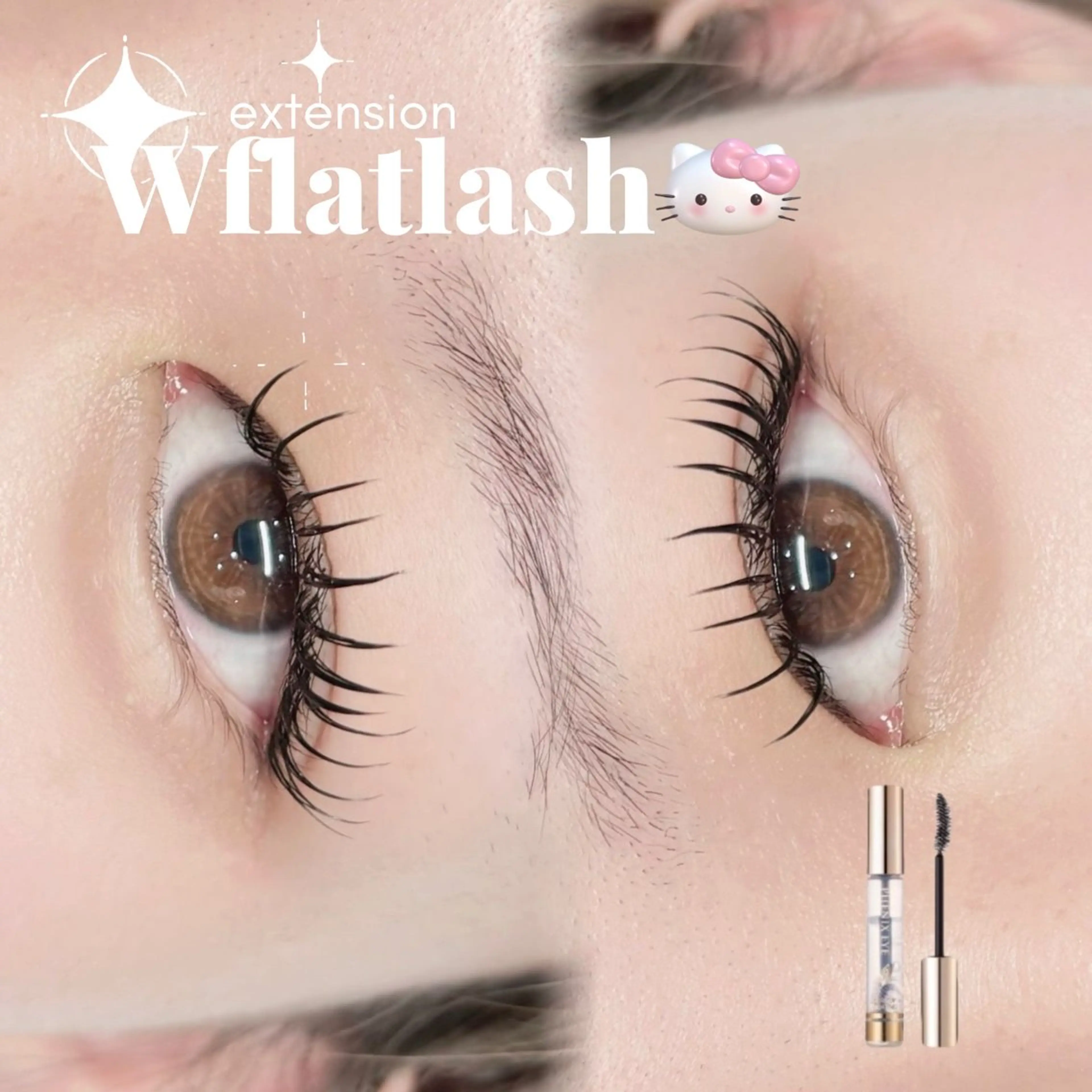 Wフラットラッシュ120束+コーティング付き（束感or束感なし）（新規オフ無料）の写真