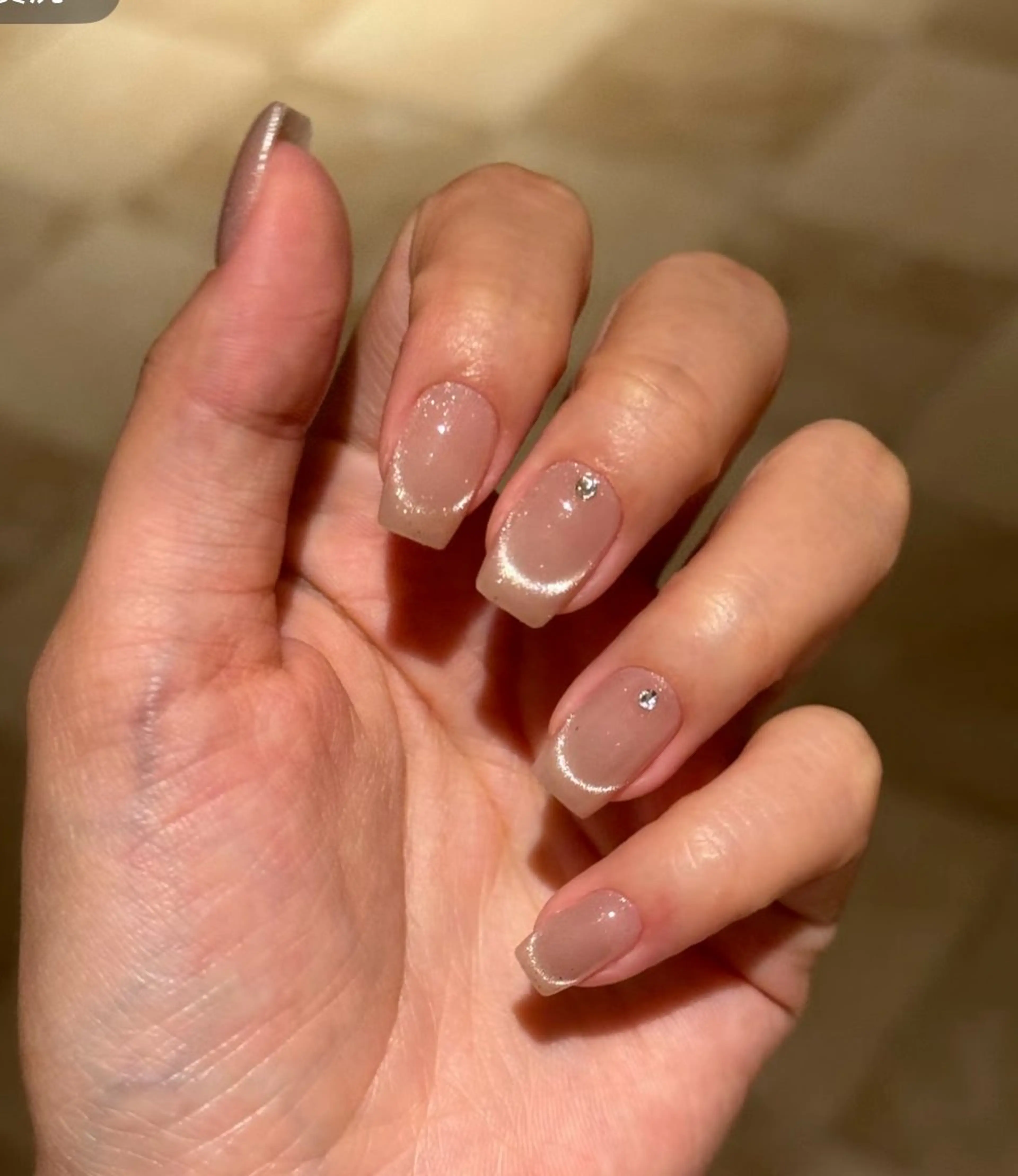 マグネットフレンチ/ハート(3980)の写真