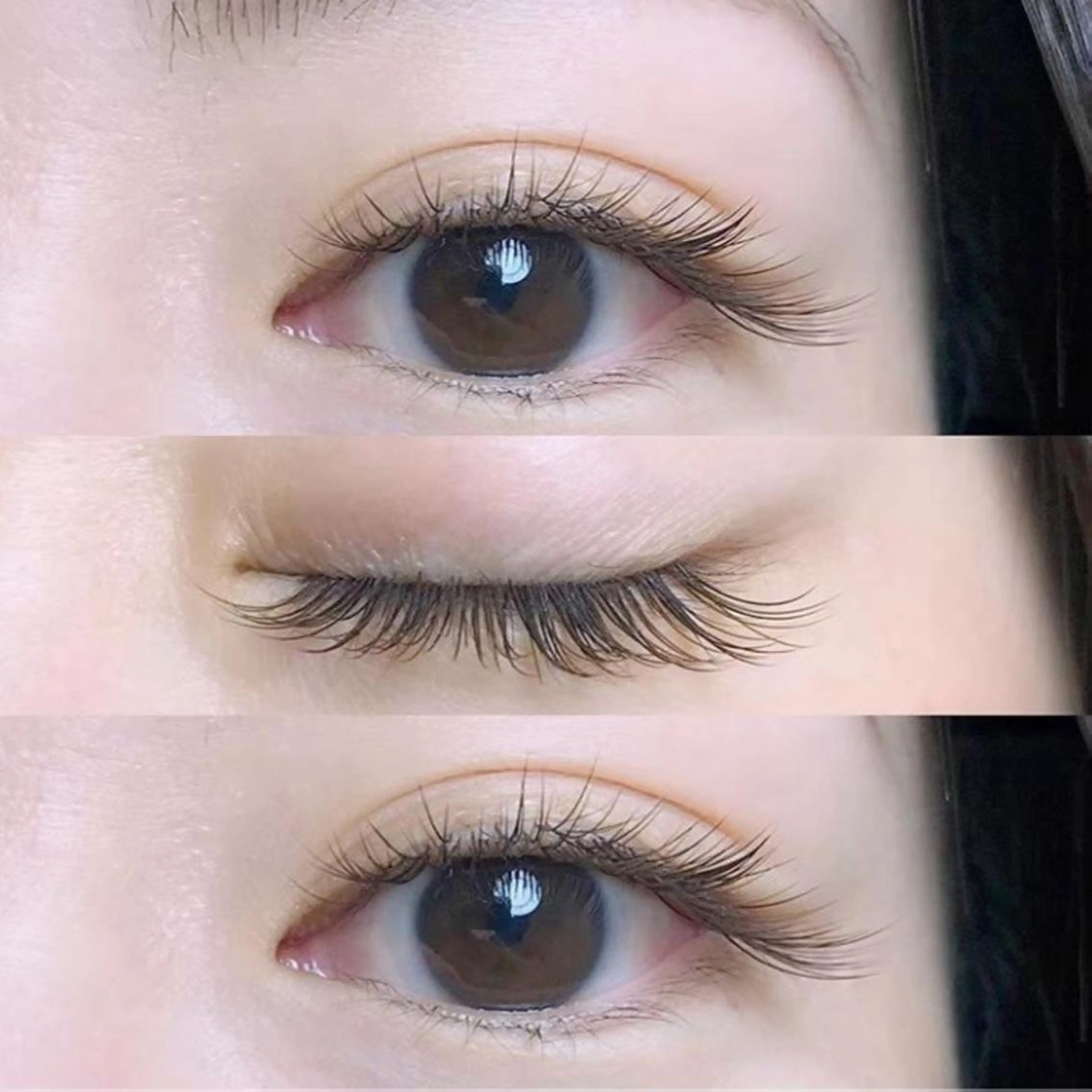 フラットラッシュ100本（エグータムコーティング付き）の写真