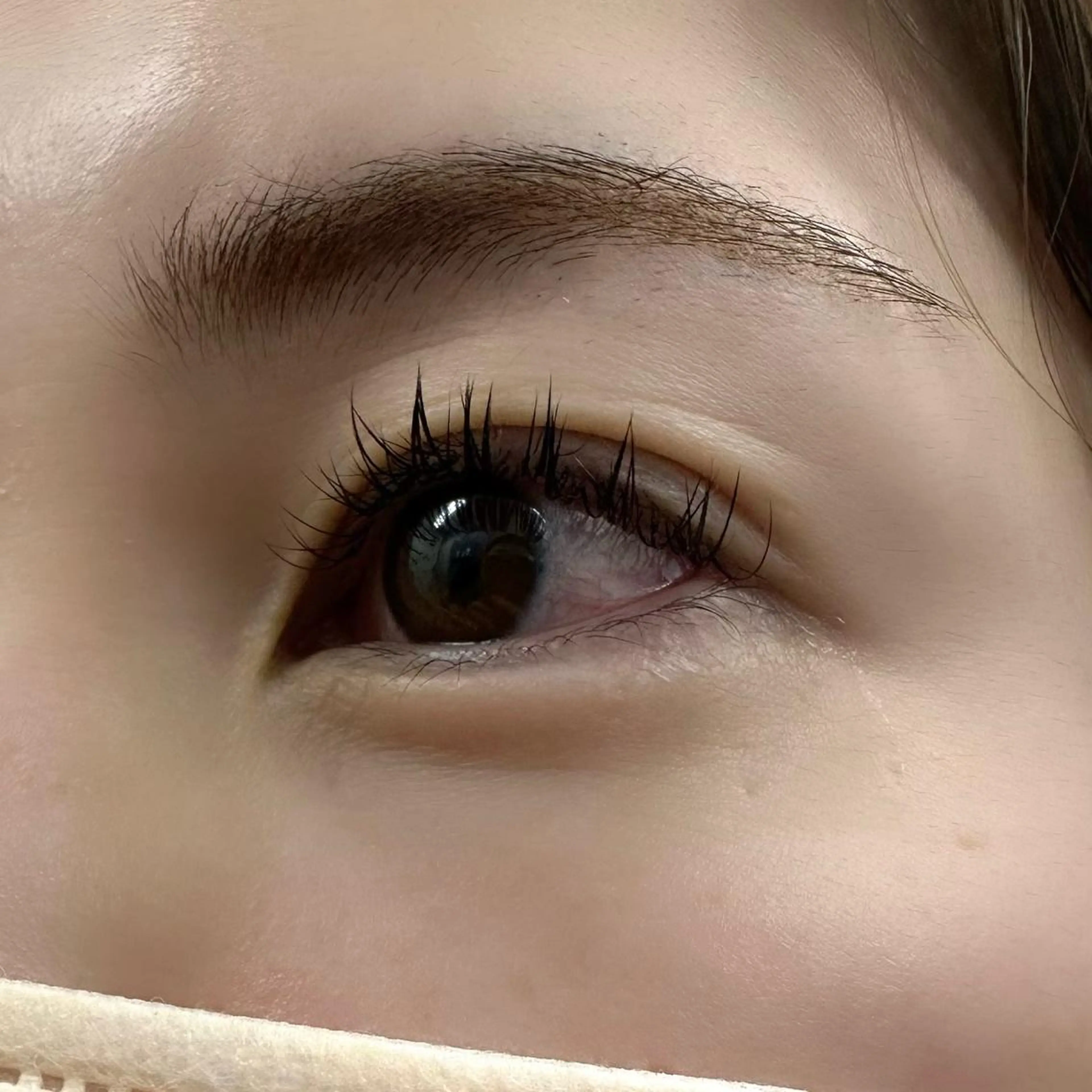 マツエク・マツパ Cカール フラットラッシュ Miyu🦄ash メンズカット/まつげのヘアスタイル