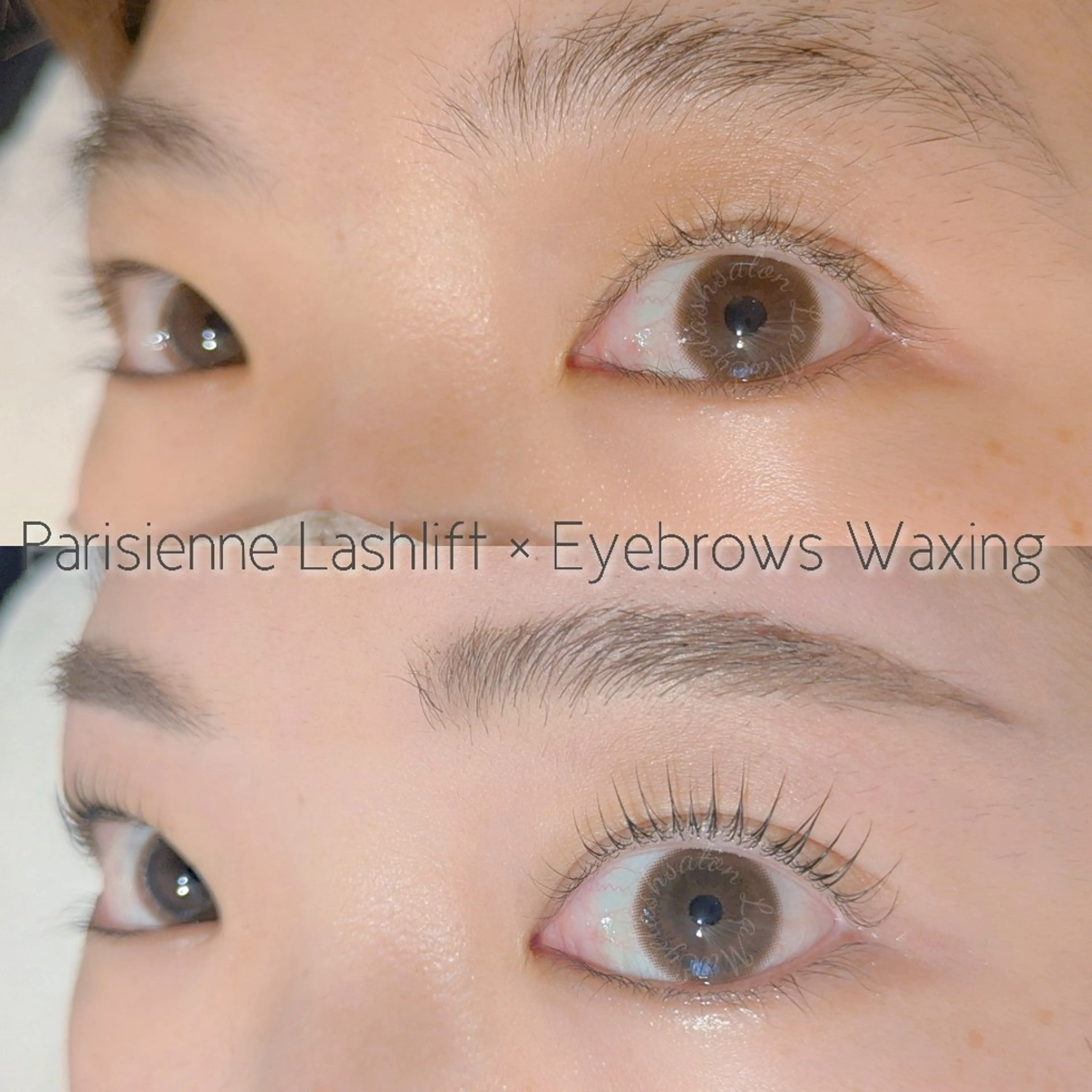 マツエク・マツパ パリジェンヌラッシュリフト LaMa. Yのマツエク・マツパデザイン