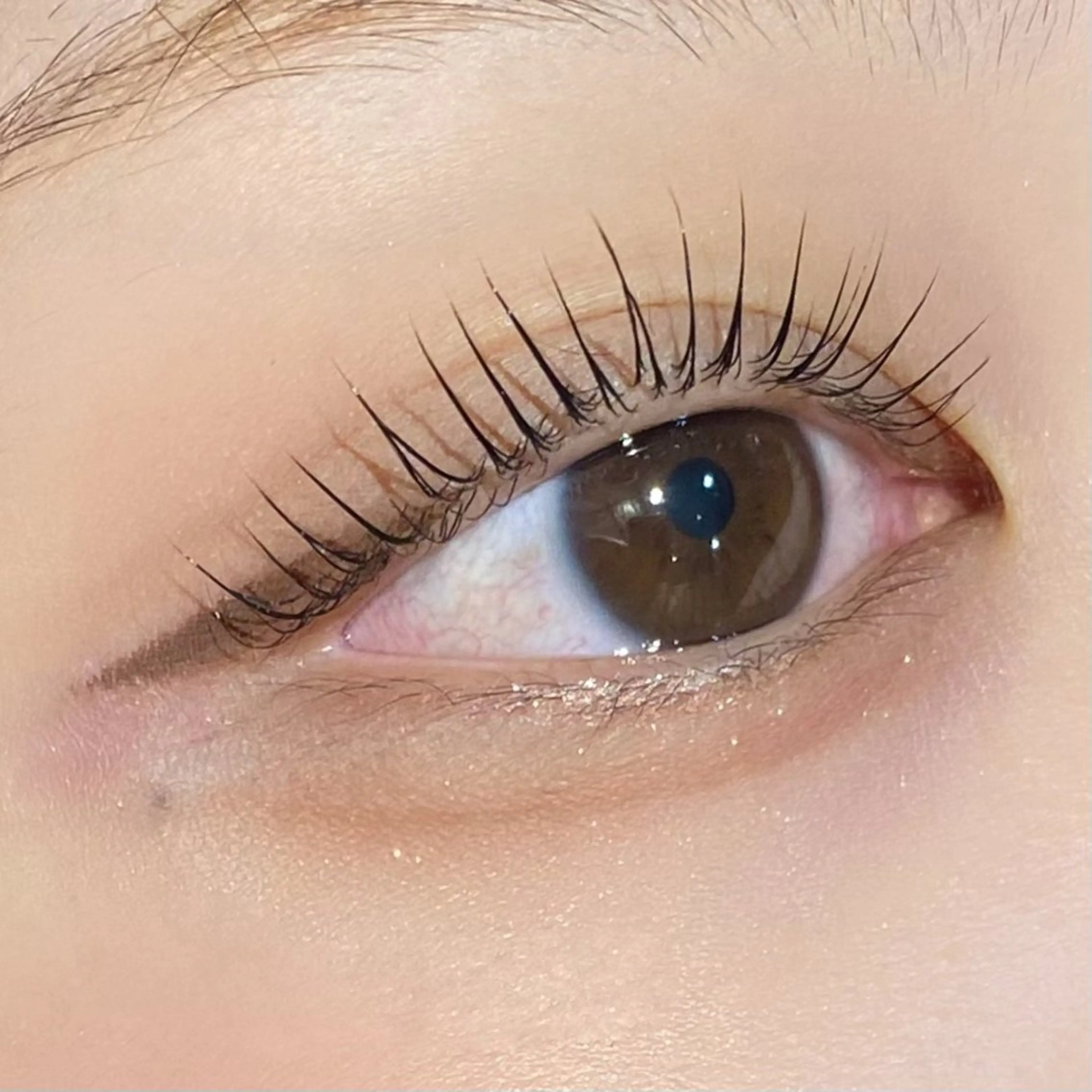 🤍2回目以降のお客様限定🤍まつげパーマ コーティング付き𓂃。⋆の写真