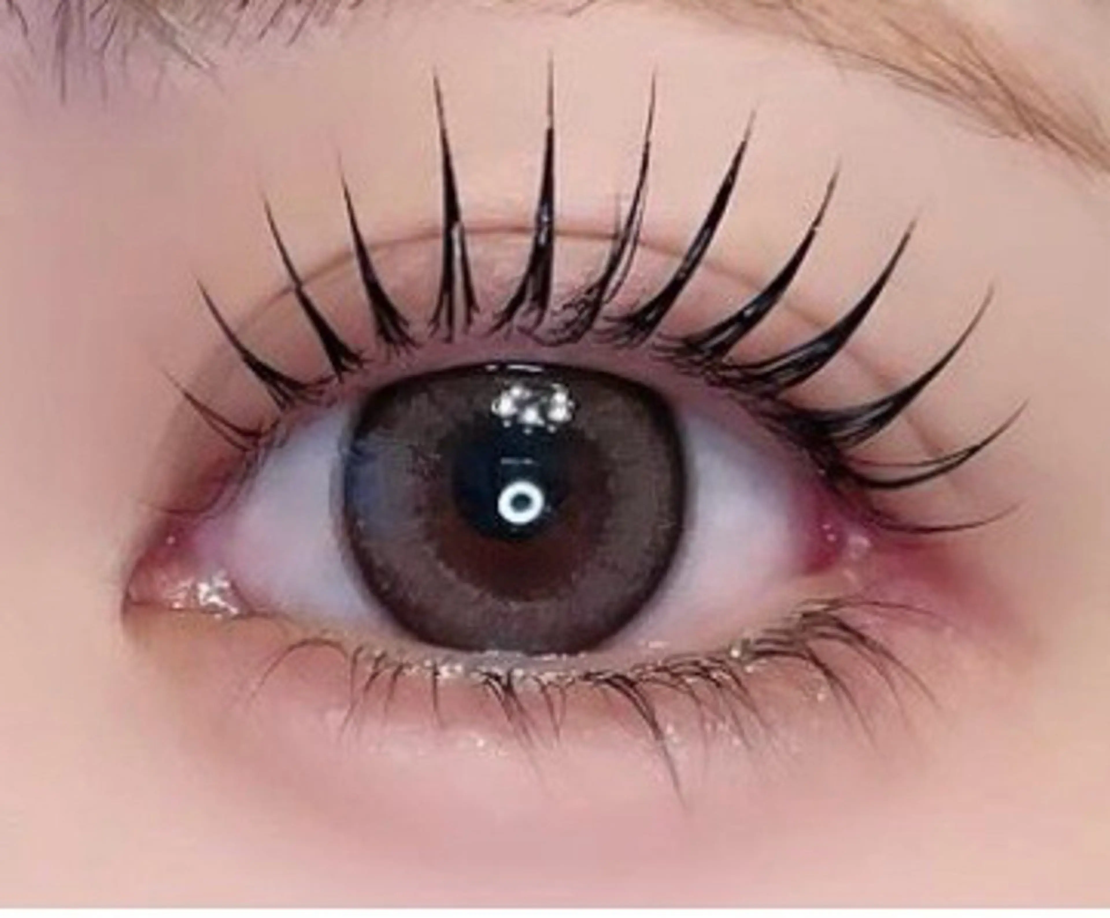 🍄ミニモ学割 🍄韓国束感✨パリジェンヌor似合わせまつげパーマ⭐️アイシャンプー➕トリートメント付🌈#まつぱの写真