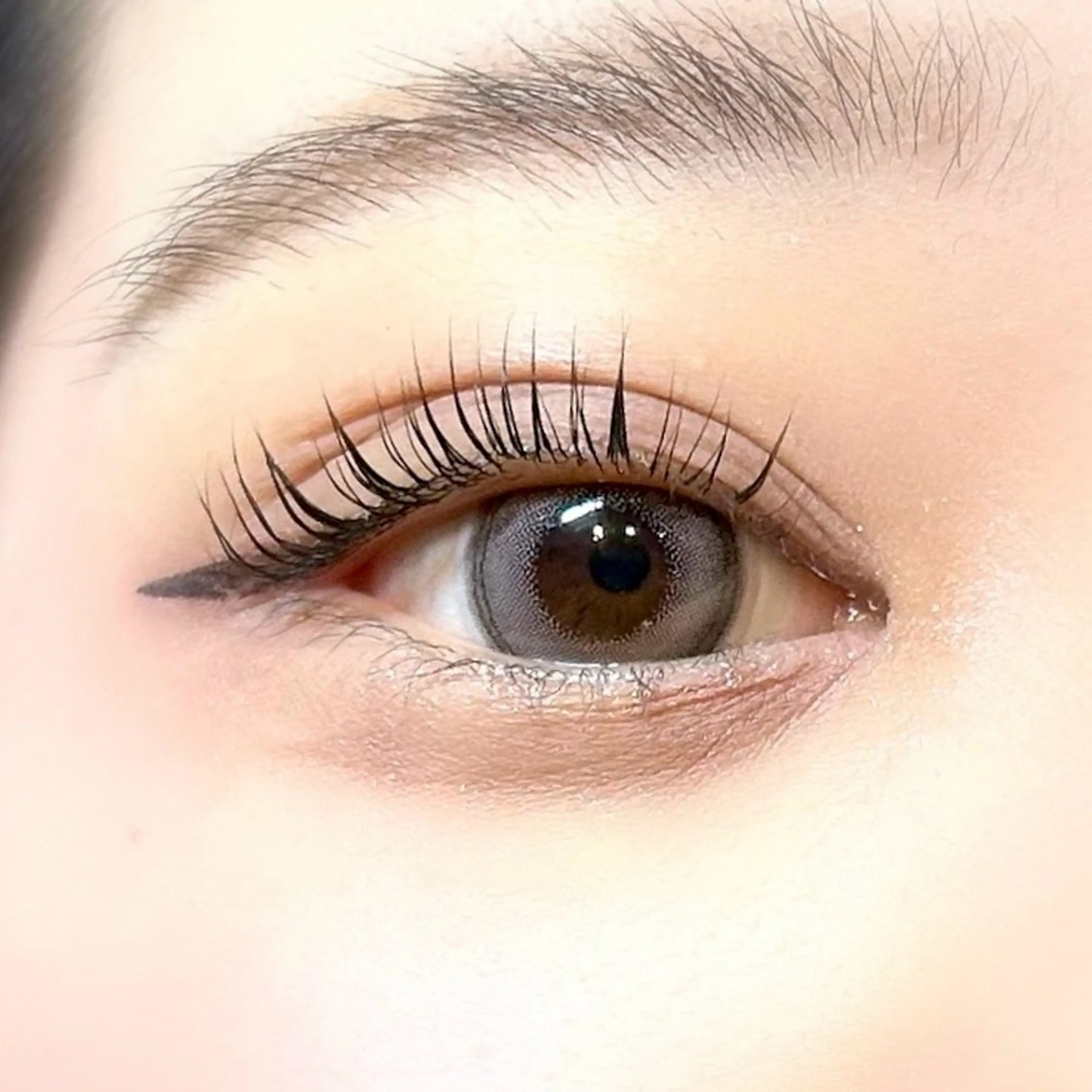 【無料モデル】🍀パリジェンヌラッシュリフト（上）¥0の写真