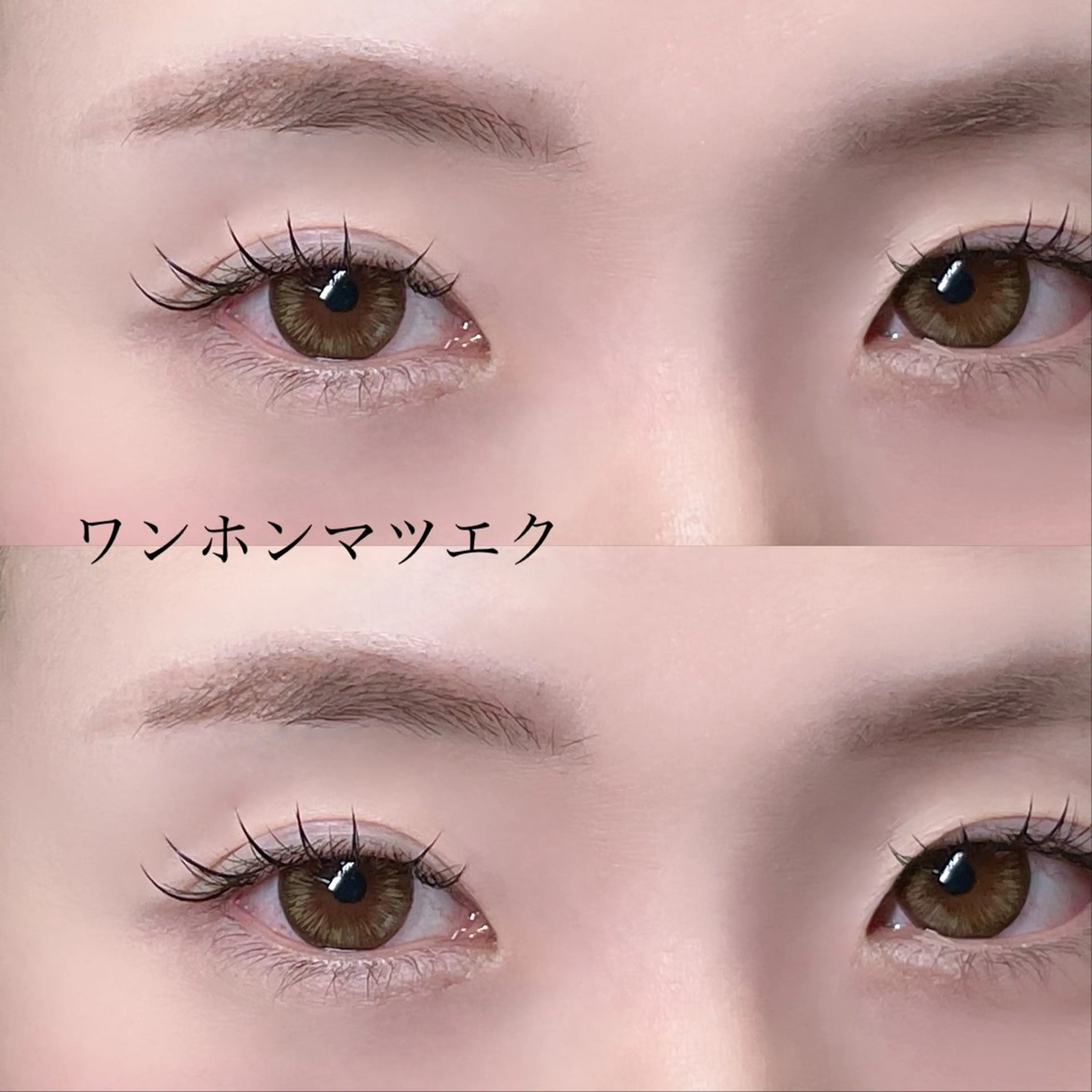 【ワンホンマツエク】の写真