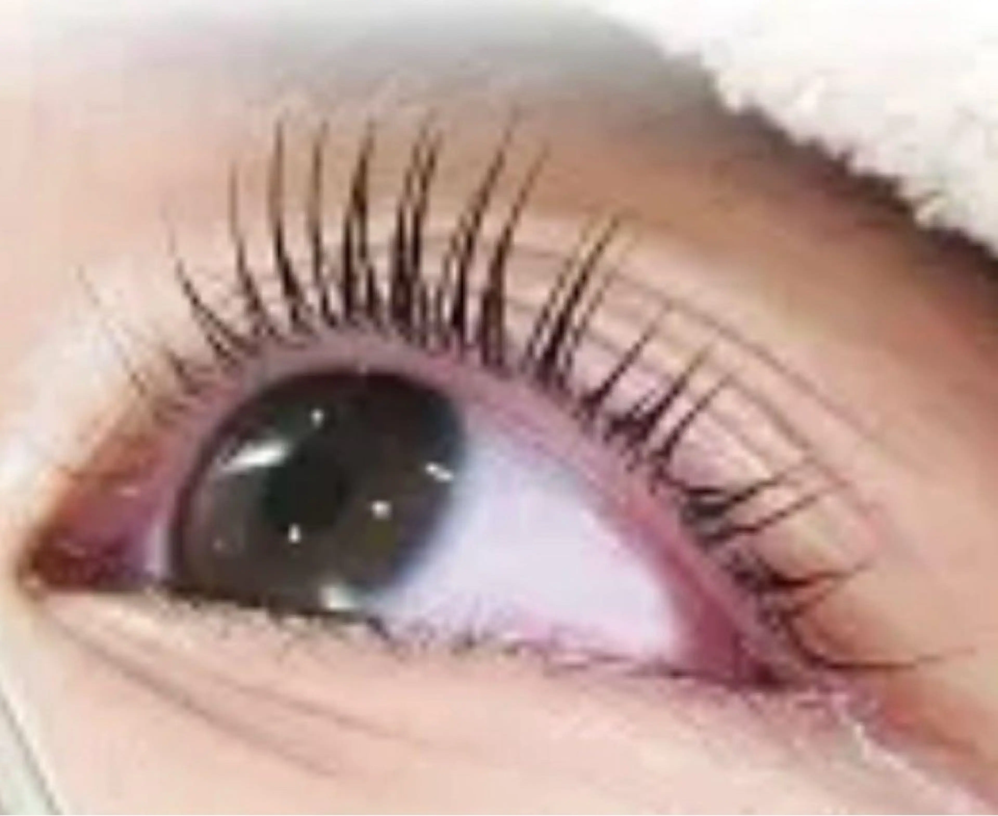 パーマ luana所属・luana府中 まつ毛サロンのマツエク・マツパデザイン