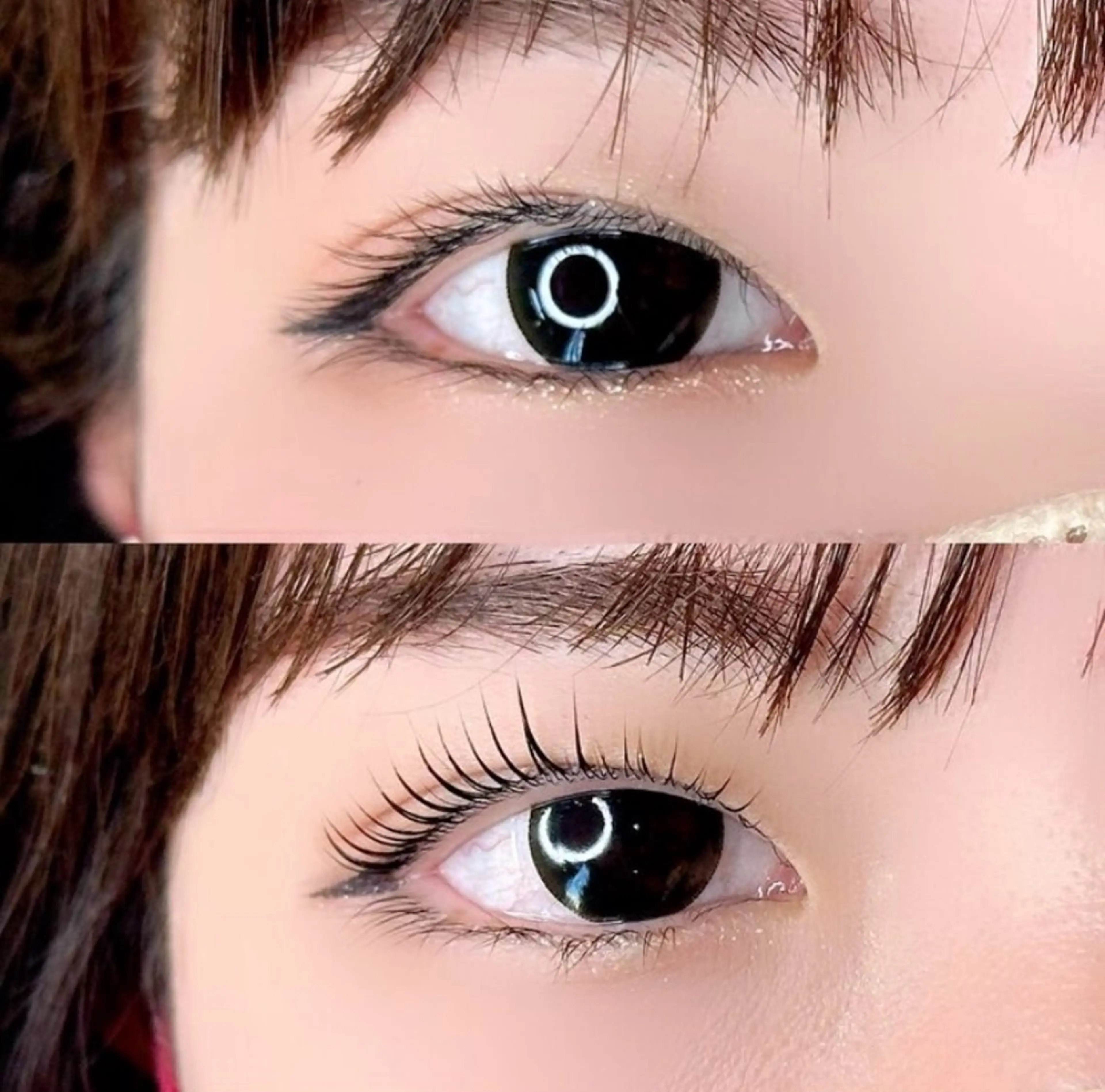 【12月限定🎄人気No1💖韓国風まつ毛パーマ🎀】フェニックスサポートジェルを使用したコーティング付束感仕上げ✨の写真