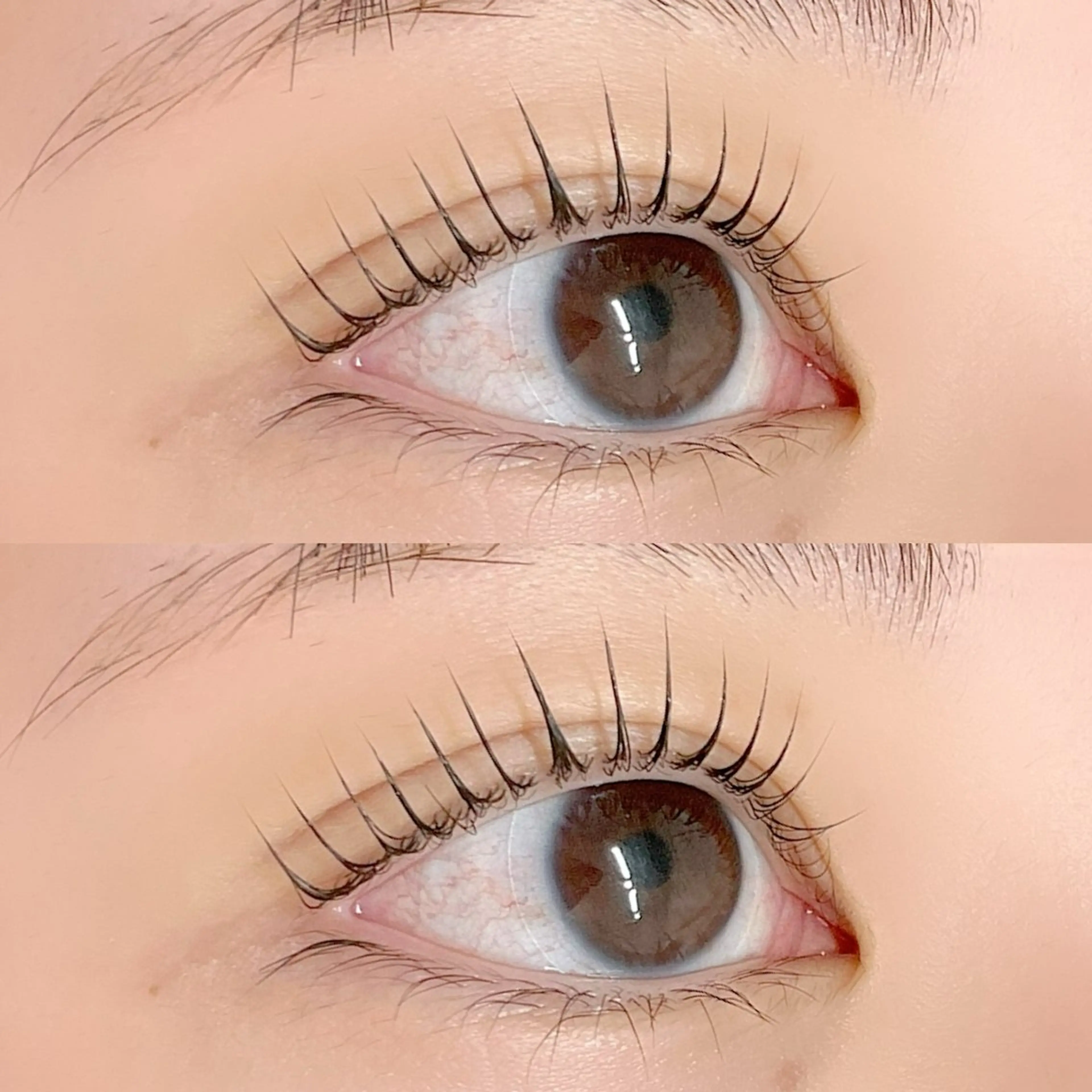 🎀選べるまつ毛パーマ🎀（ケラチントリートメント付き）6000円→4500円の写真