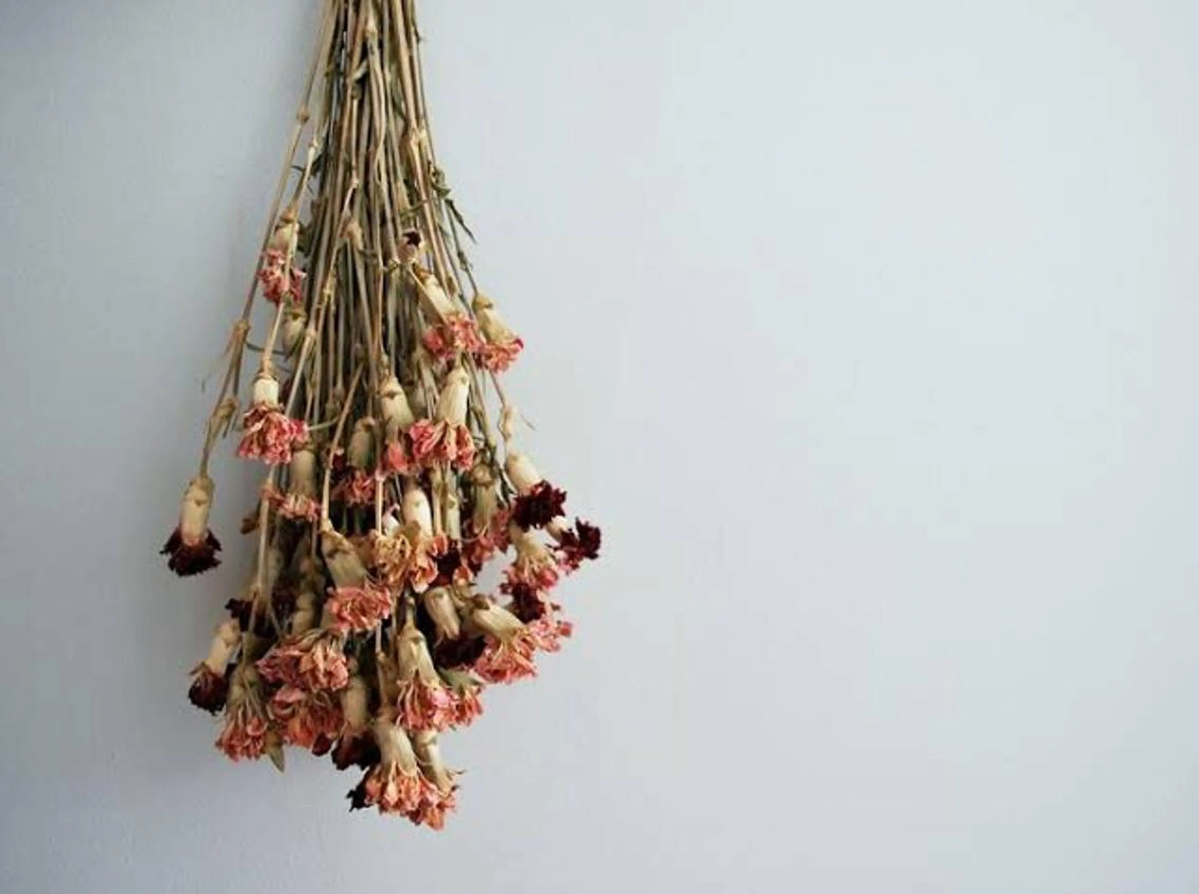 💎耳ツボジュエリー ×銀座美容室💎のヘアスタイル