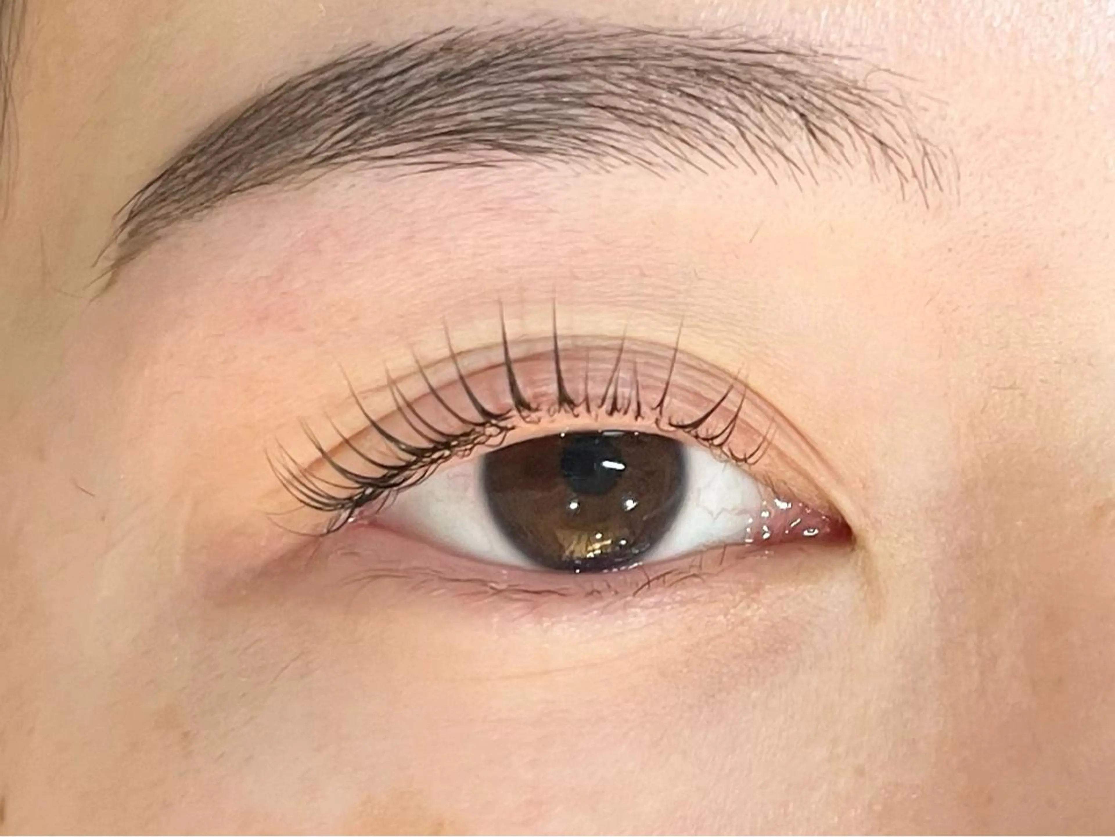 アイブロウwax➕パリジェンヌラッシュリフトの写真