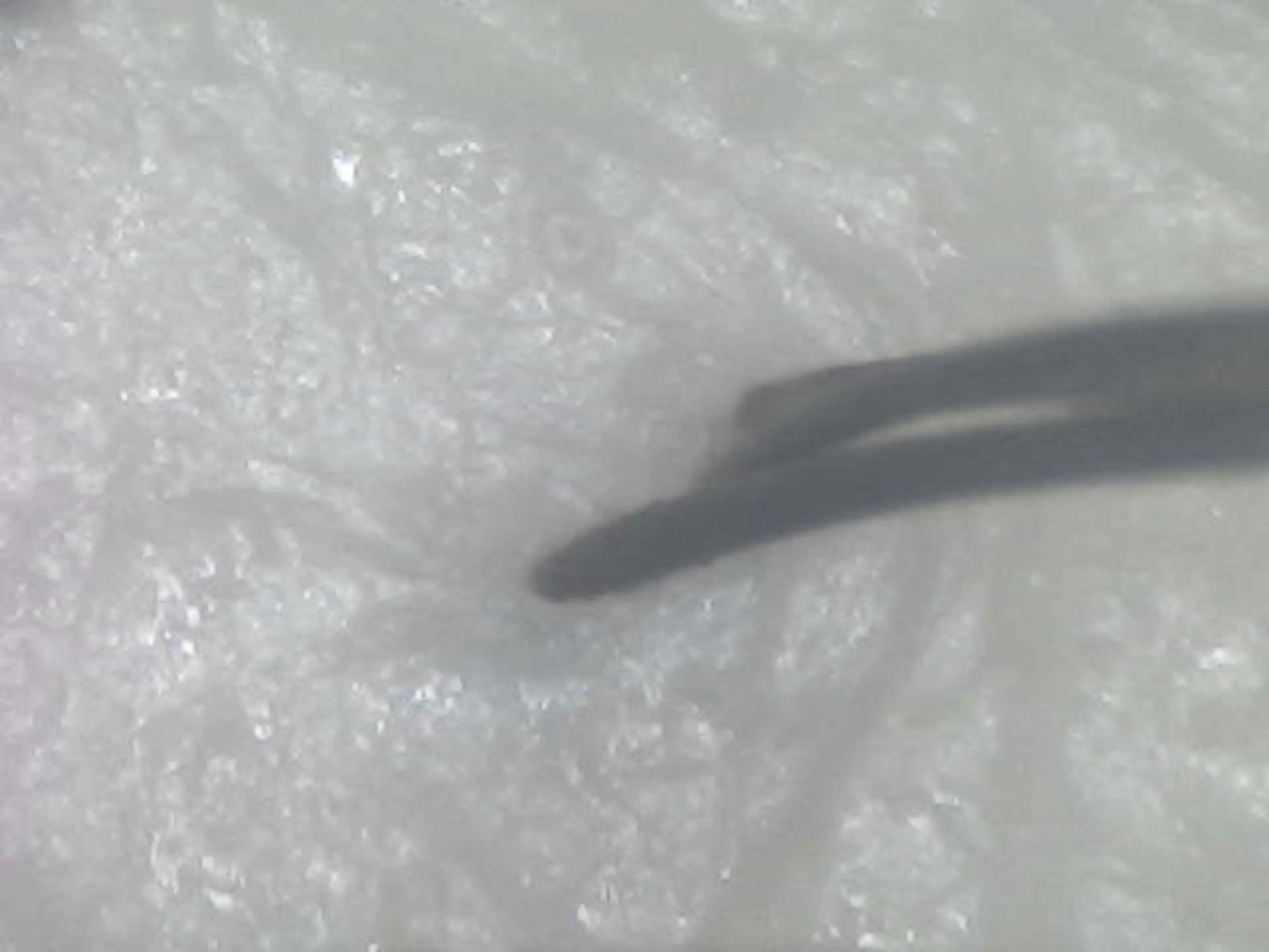 ヘッドスパ salowin 郡山店所属・中畑 莉菜のヘアスタイル