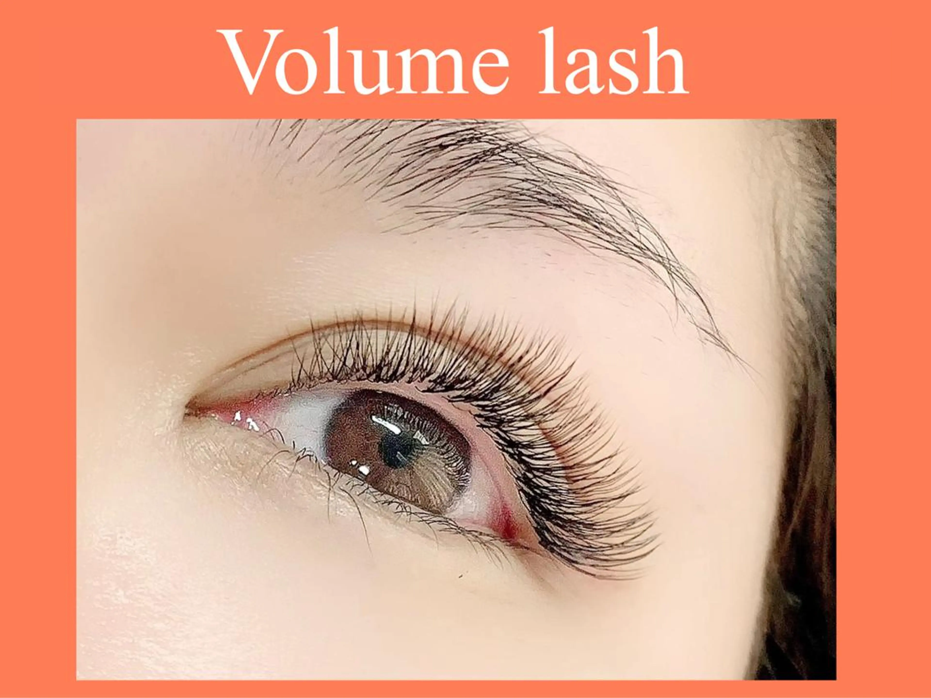 ご新規様、ボリュームラッシュ付け放題2時間の写真