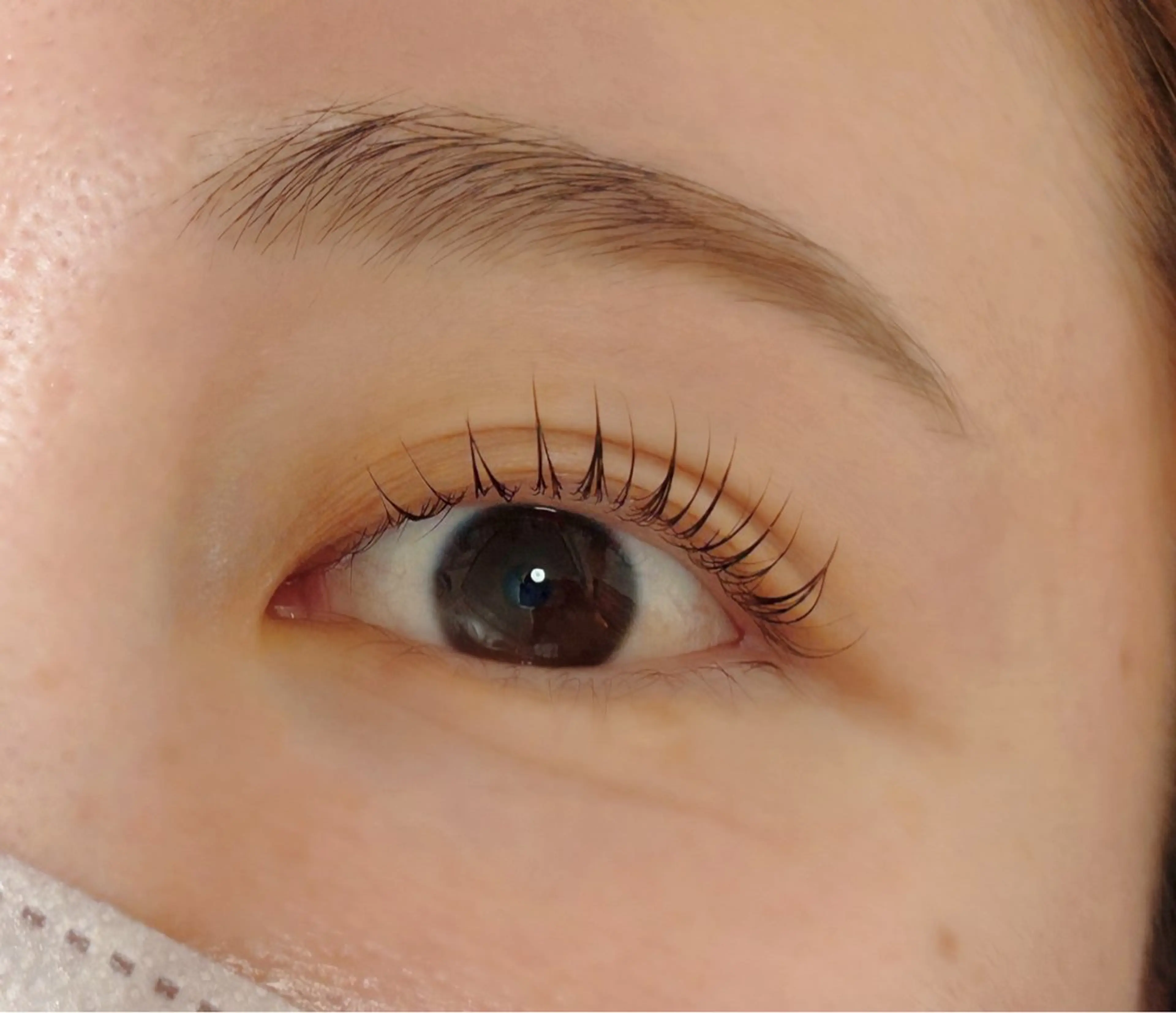 マツパ+眉Waxの写真