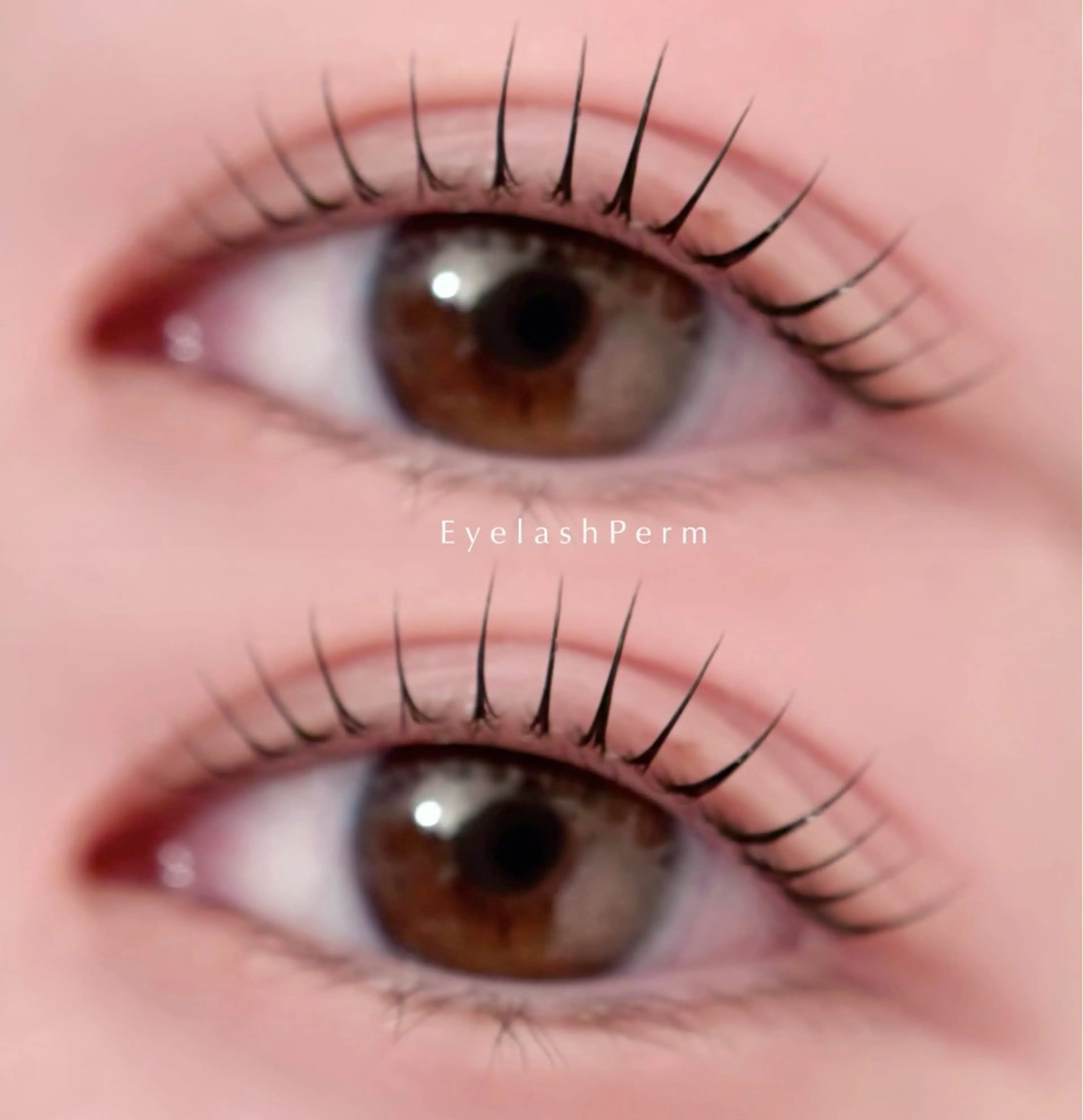 【ミニモ限定】オーダーメイドまつ毛パーマ/パリジェンヌ✧の写真