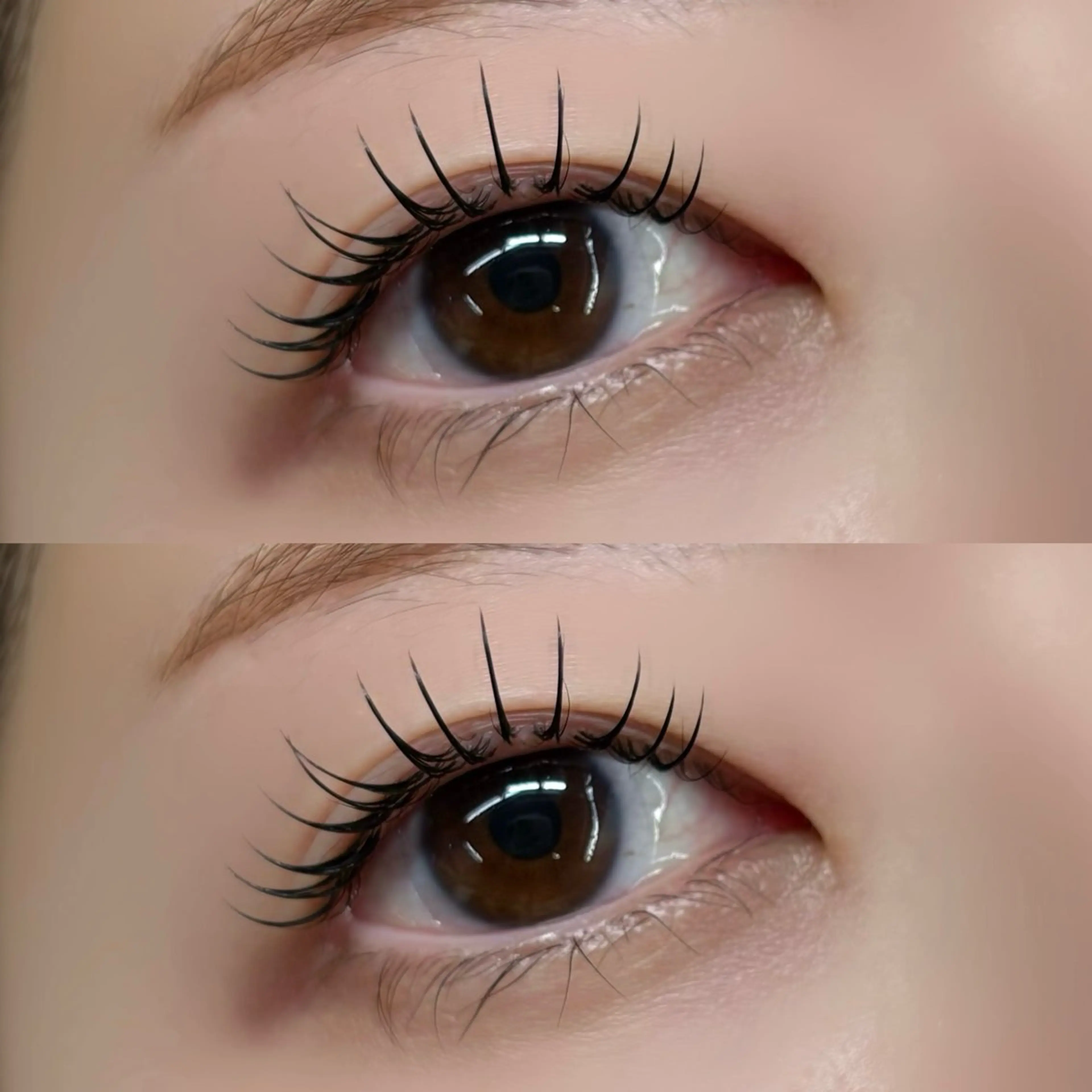 マツエク・マツパ マツエク 【LILY】伊沢/ バインド/パリ/エクのマツエク・マツパデザイン