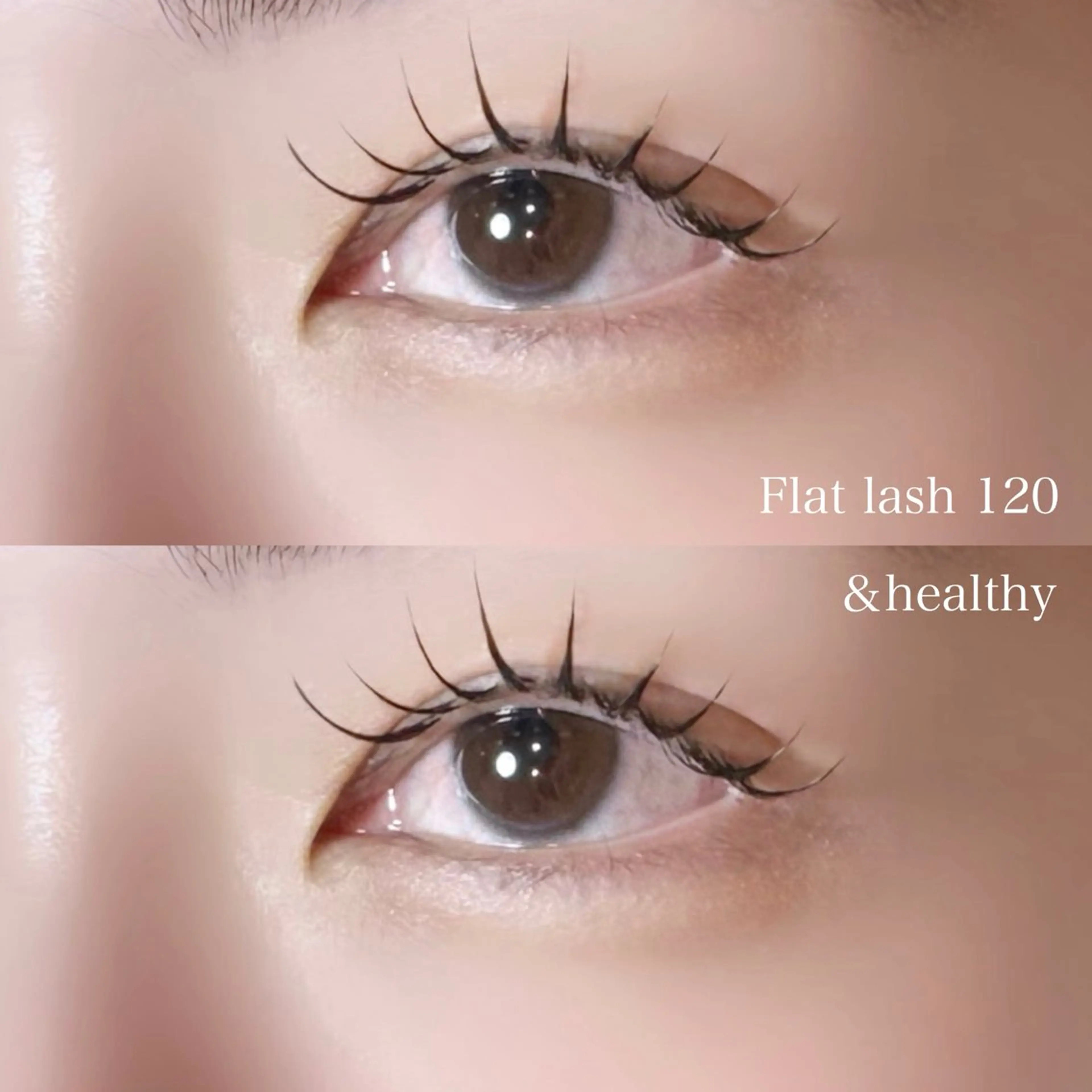 マツエク・マツパ フラットラッシュ マツエク Stella 石井のマツエク・マツパデザイン