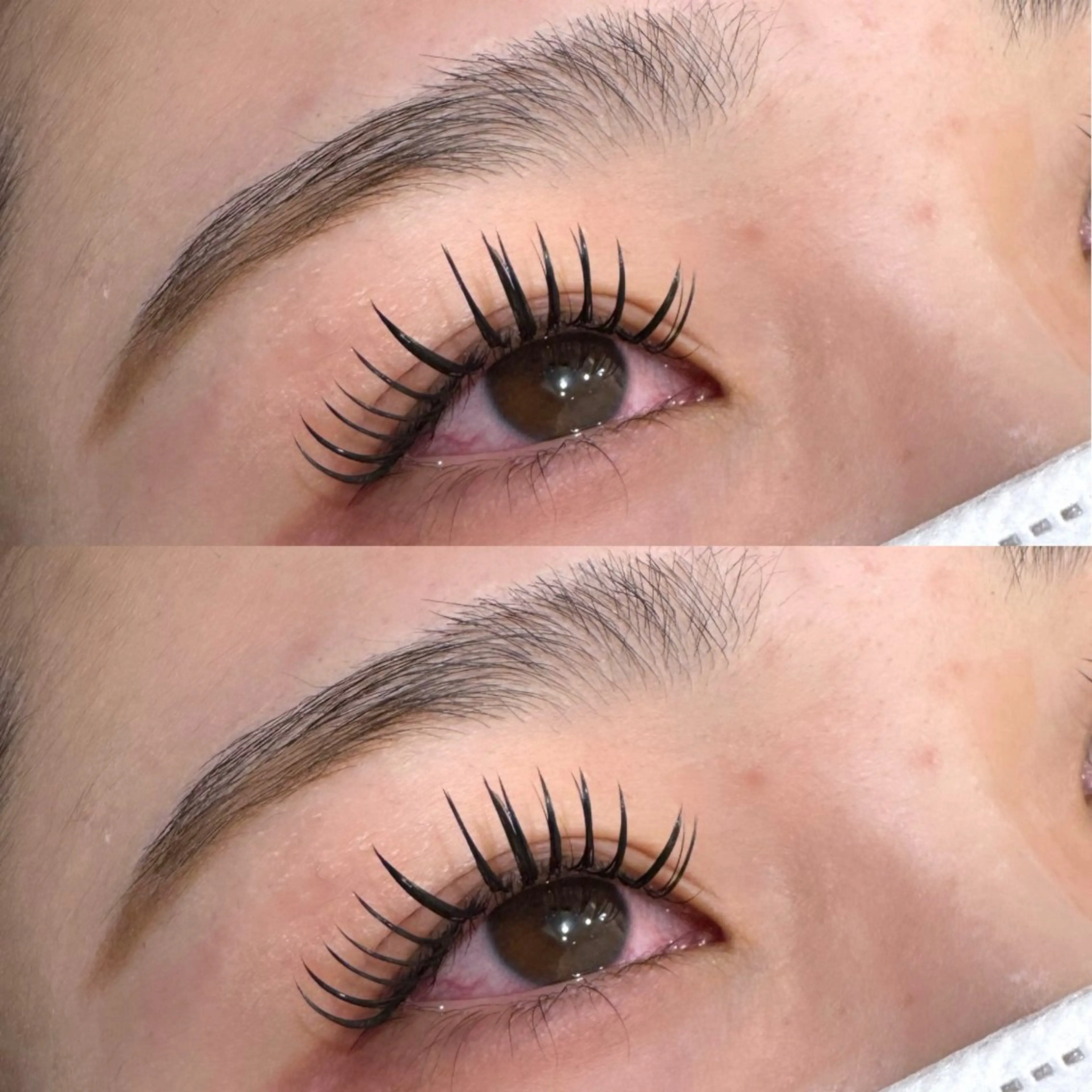 【2回目まで】LEDフラットラッシュ100本🩵の写真