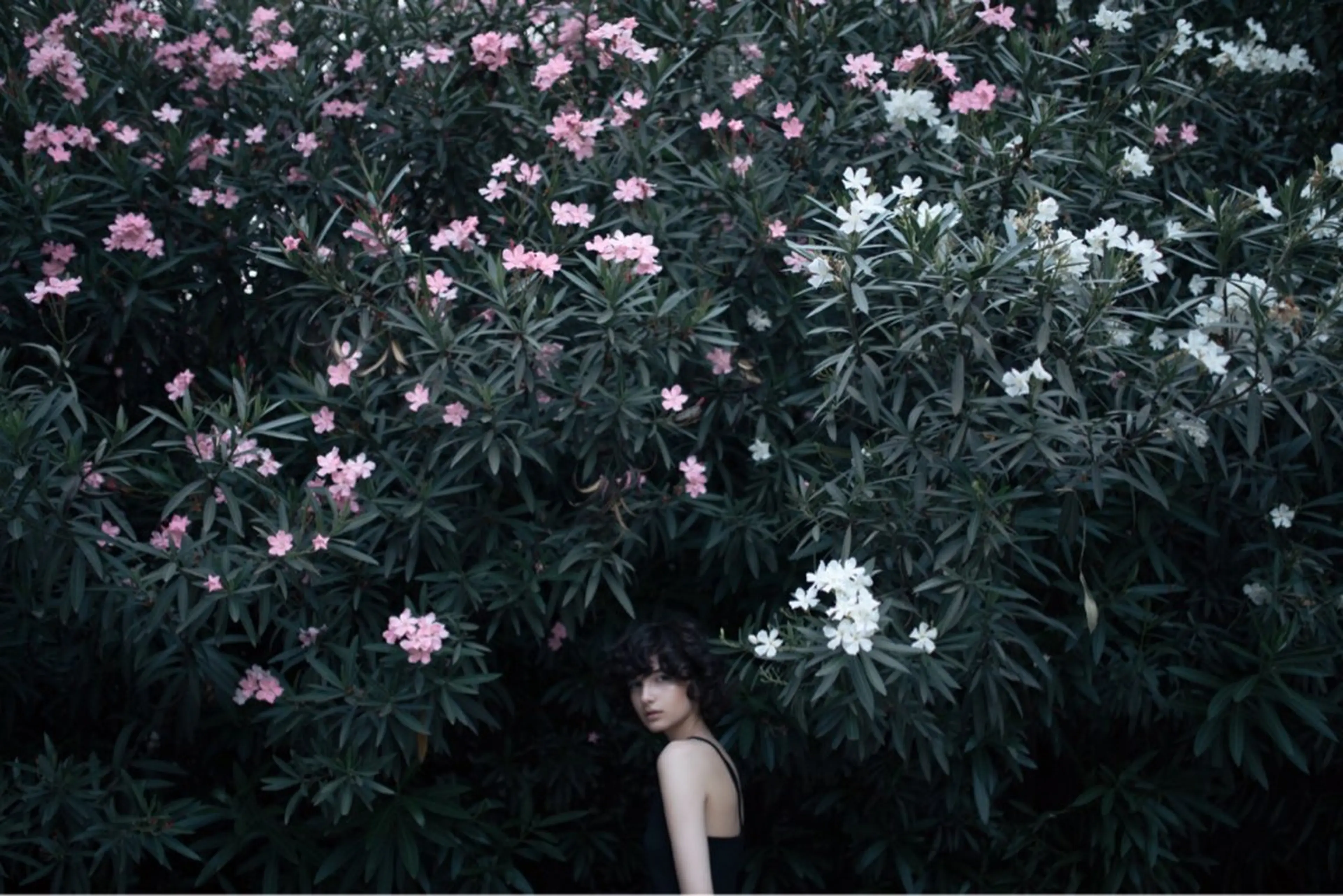 💙フェイシャル&ボディ2箇所💙ハーブピーリング・ハード🌿の写真