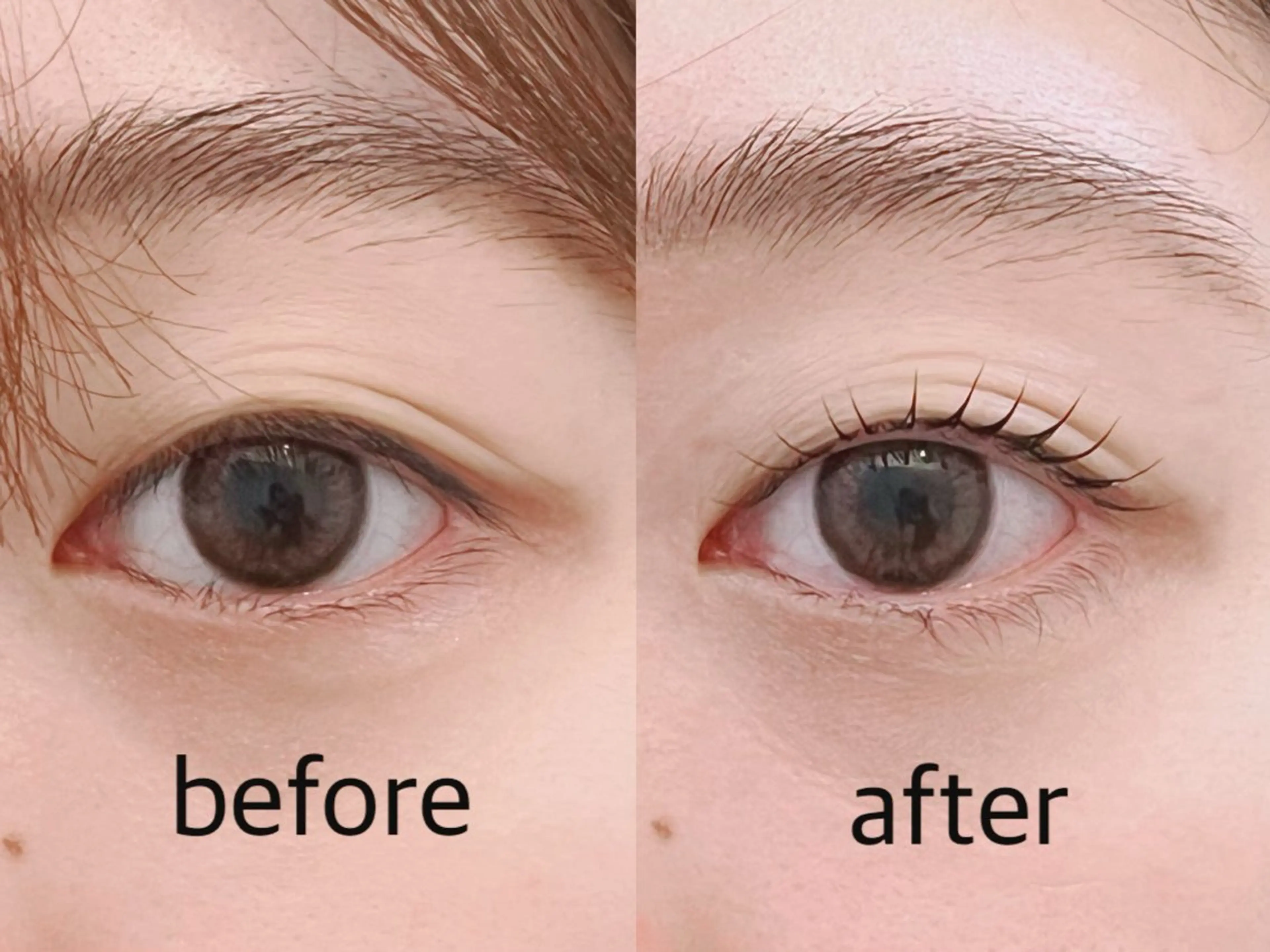 マツエク・マツパ バインドロック フラットラッシュ パリジェンヌラッシュリフト まつげパーマ 下まつげエクステ Fiato Yuukaの眉毛・アイブロウイメージ