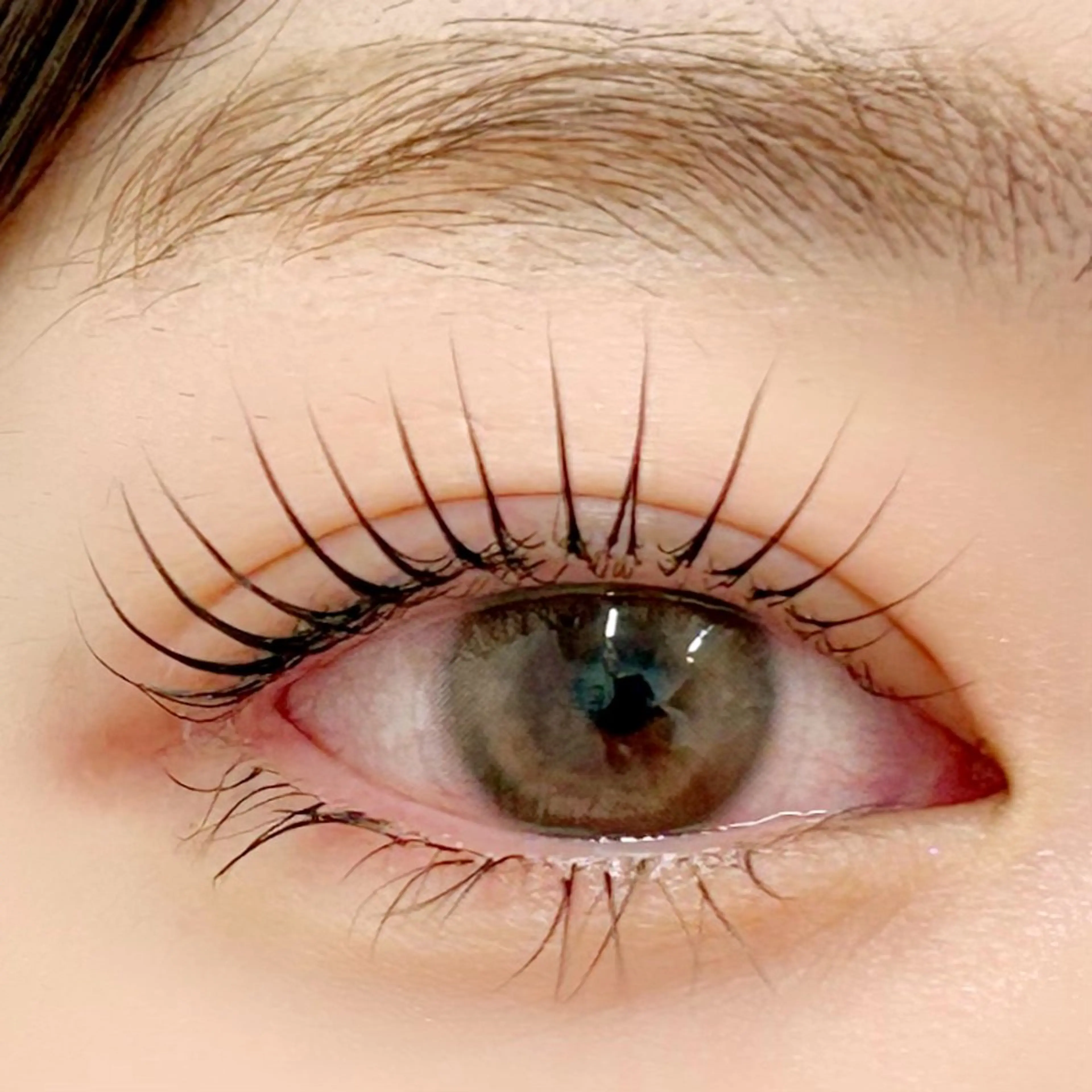 マツエク・マツパ パリジェンヌラッシュリフト 一重×まつ毛パーマ BellFlower Aki（眉・まつげ）のマツエク・マツパデザイン